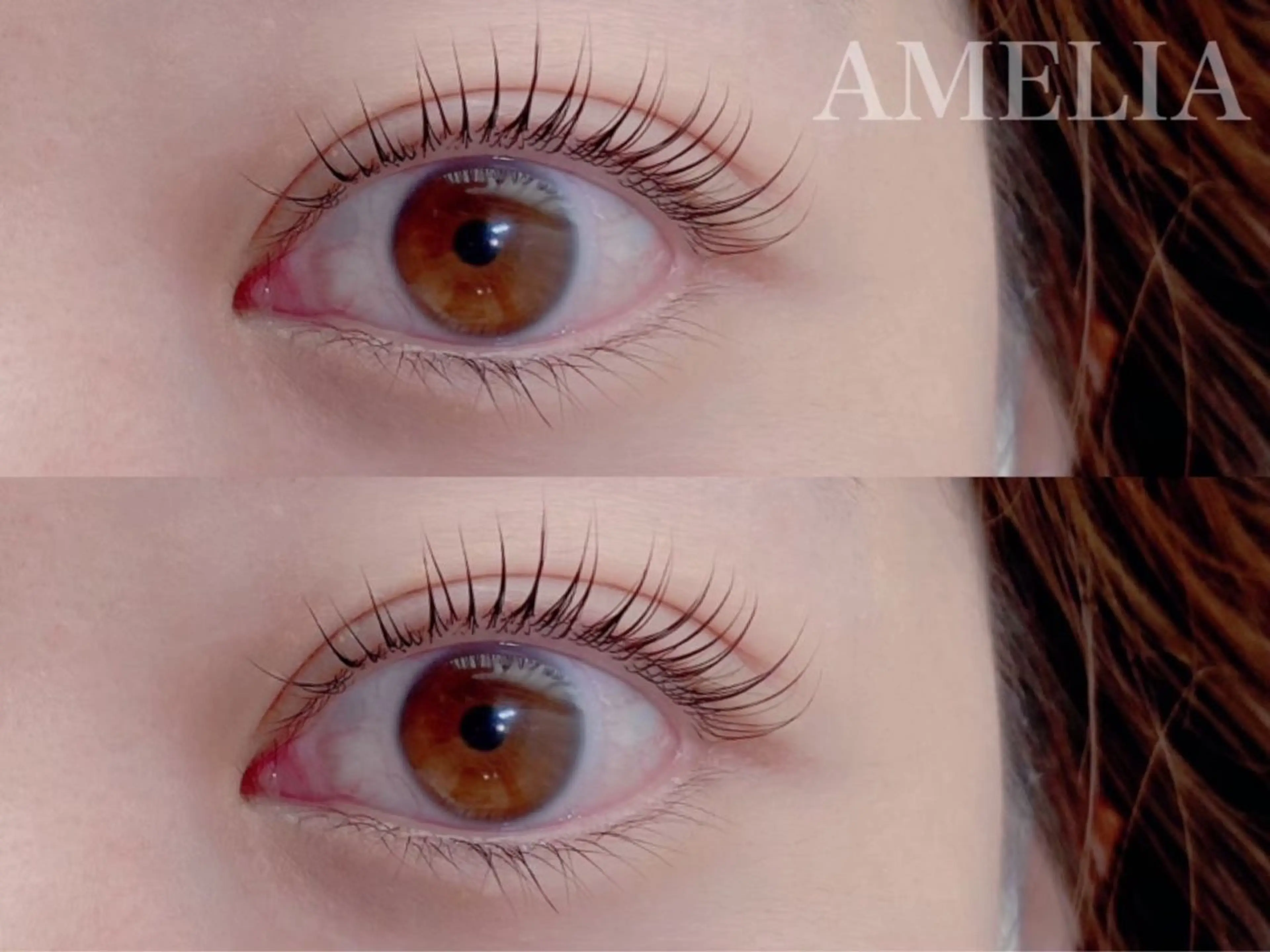 🌿パリジェンヌラッシュリフト3500円🌿〈エクステオフ別途1,100円〉※5分前来店必須の写真