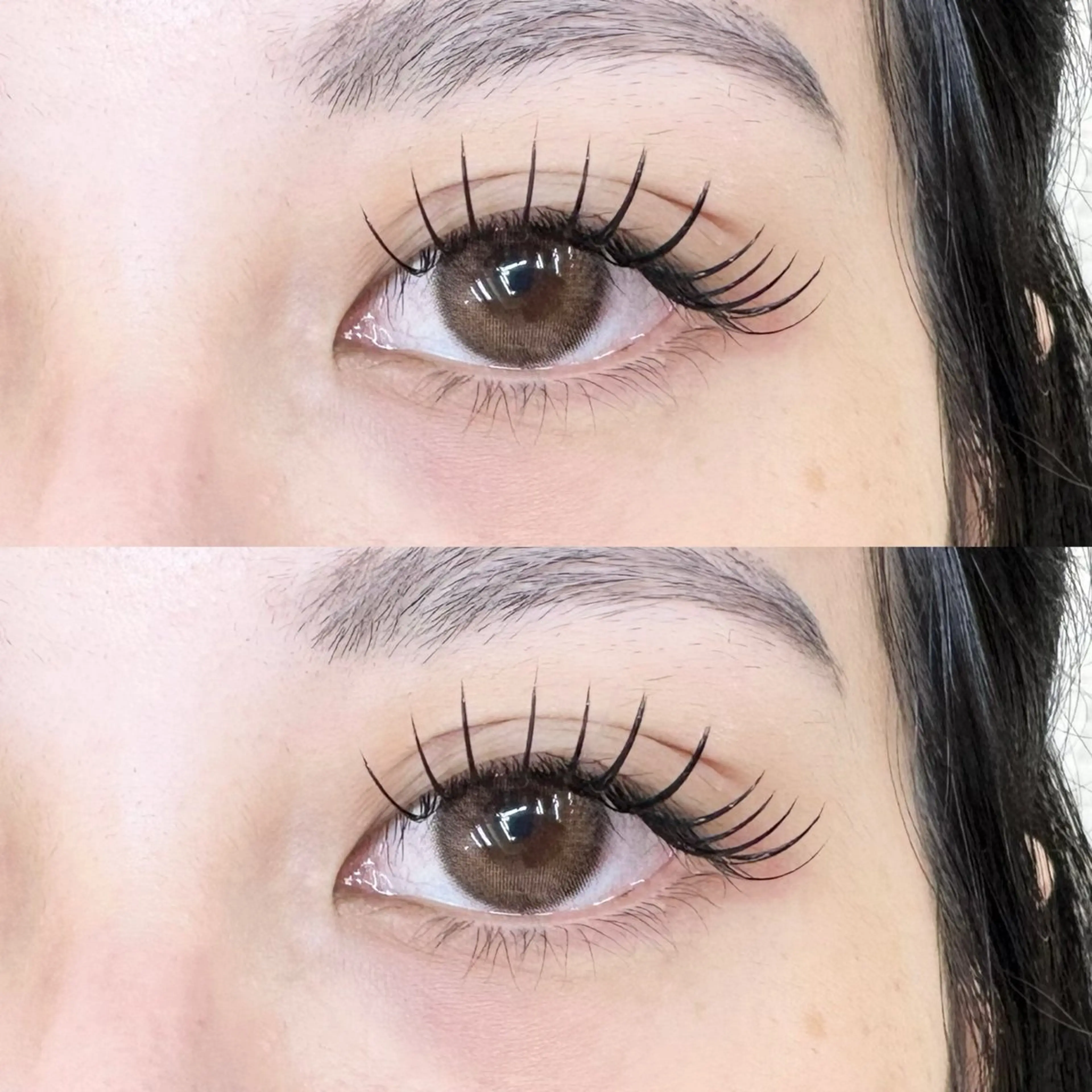 〔高持続🌷人気menu〕バインドロック100束(オフあり)の写真