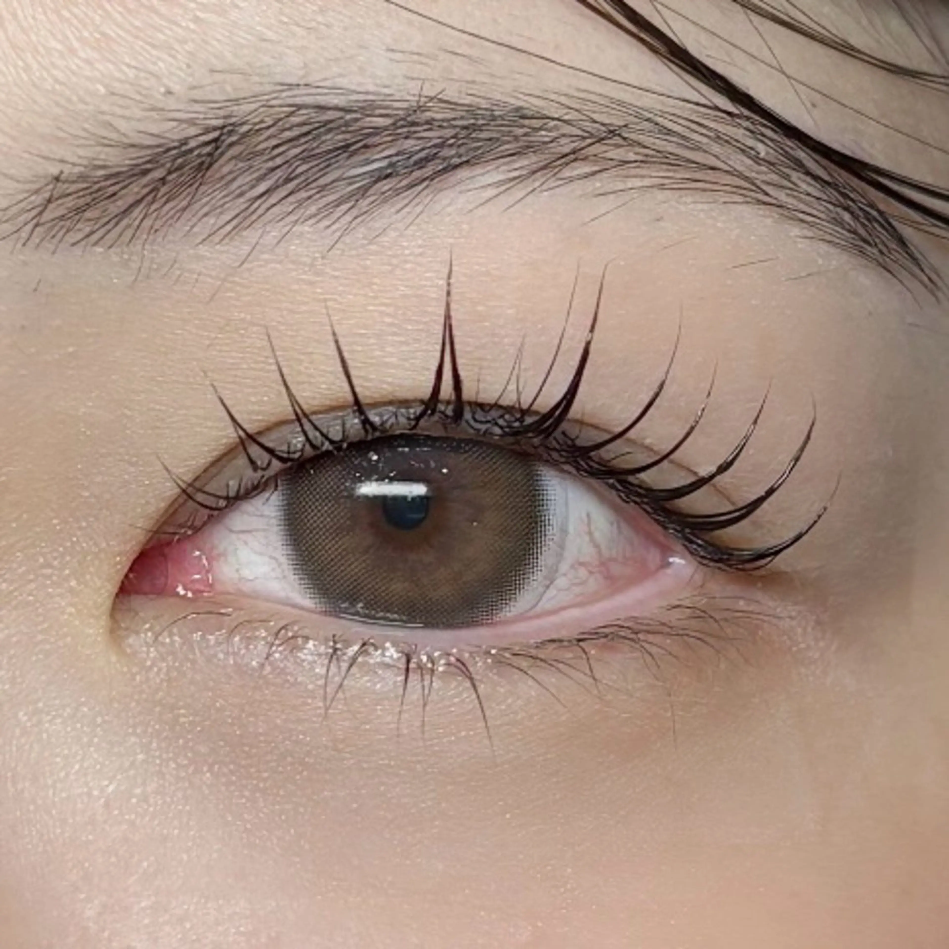 マツエク・マツパ ナチュラル まつげパーマ kurumi / Daisy Lashのマツエク・マツパデザイン