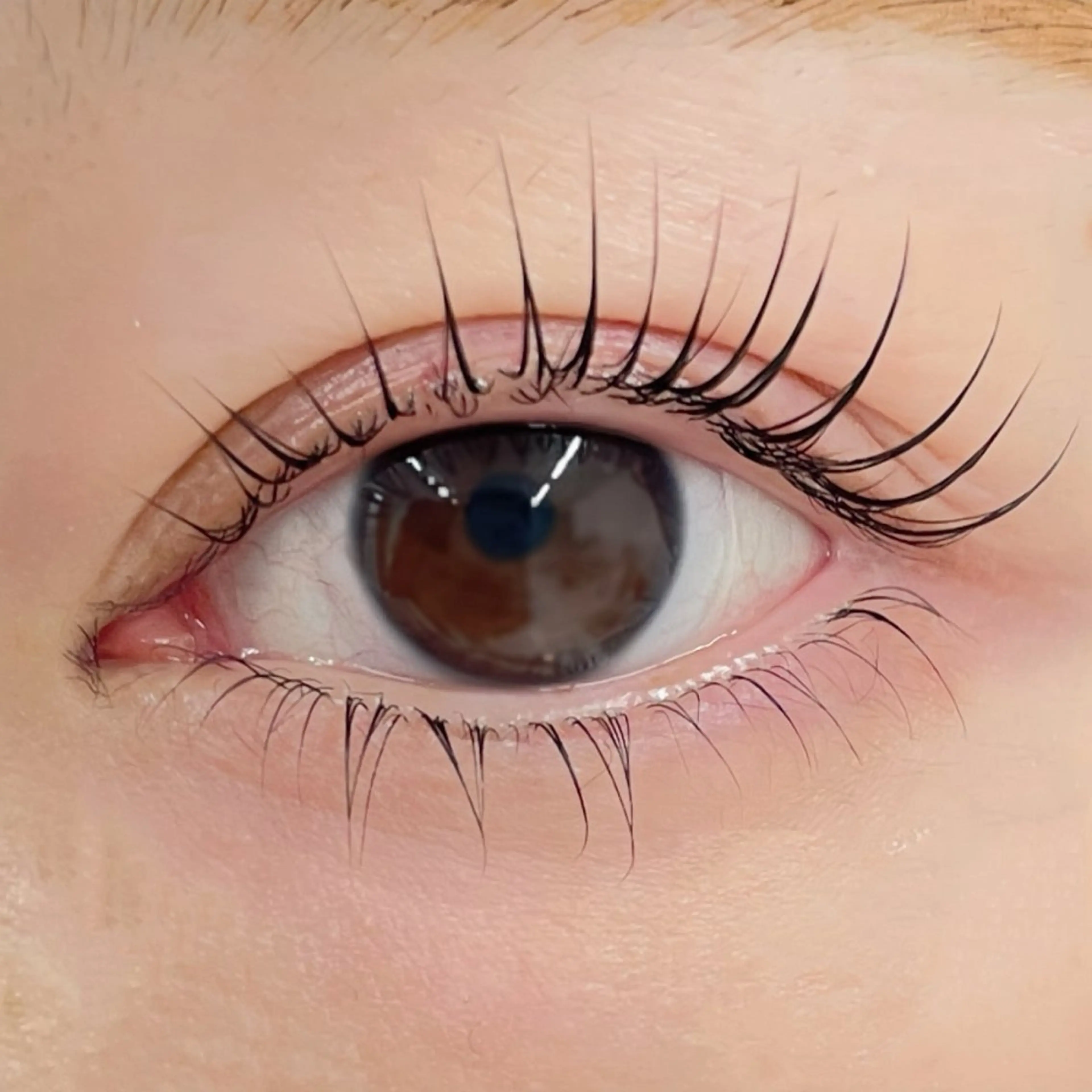 マツエク・マツパ マツパ GO TODAY シェアサロン 銀座Eclara店所属・mihiro 銀座まつぱﾏﾂｴｸ眉のマツエク・マツパデザイン