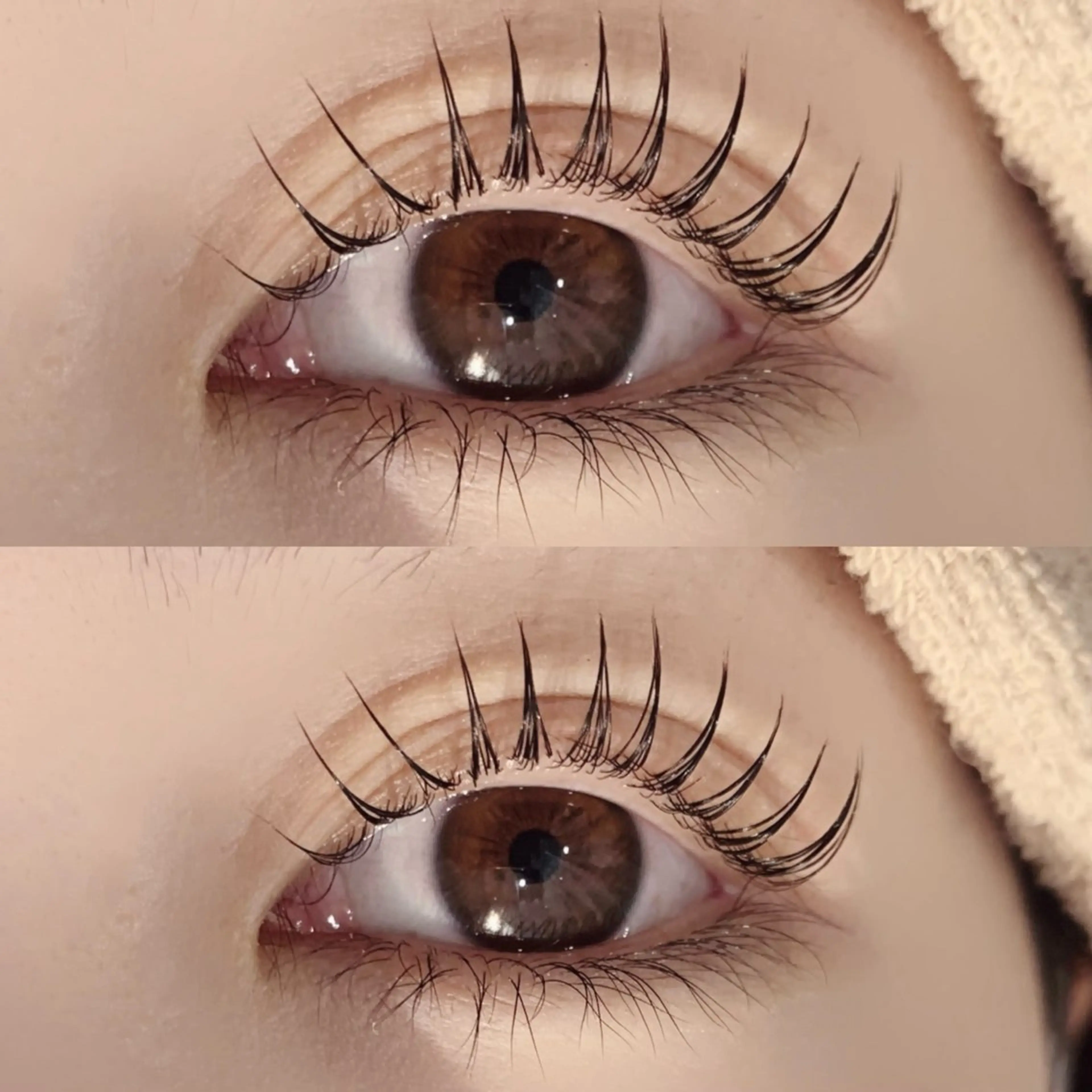 【❣️本日限定価格❣️】🫧まつ毛パーマ🫧の写真