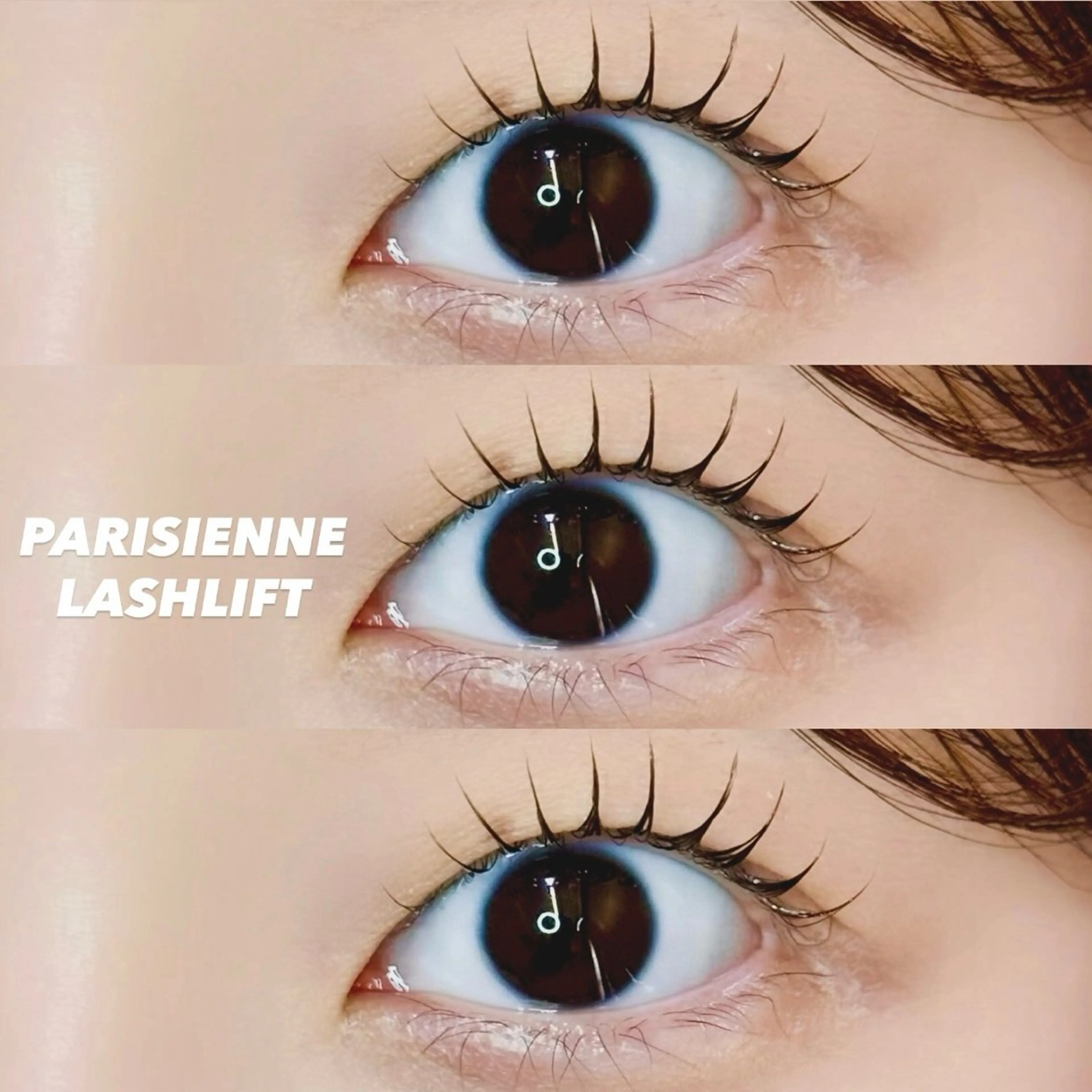 マツエク・マツパ マツパ 🦖fein. YUINA🦕⋆͛のマツエク・マツパデザイン