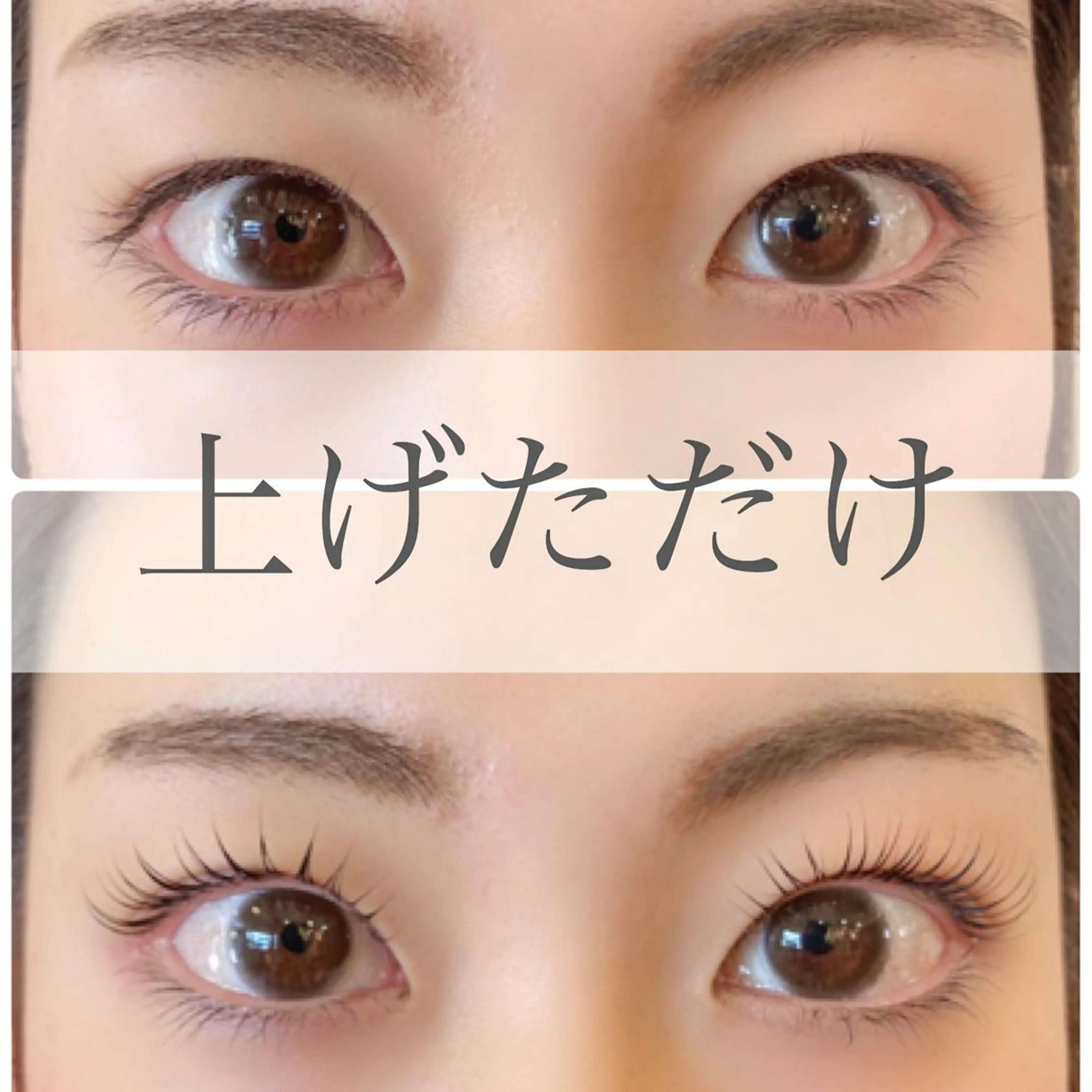 マツエク・マツパ comodo所属・美崎 美乃のマツエク・マツパデザイン