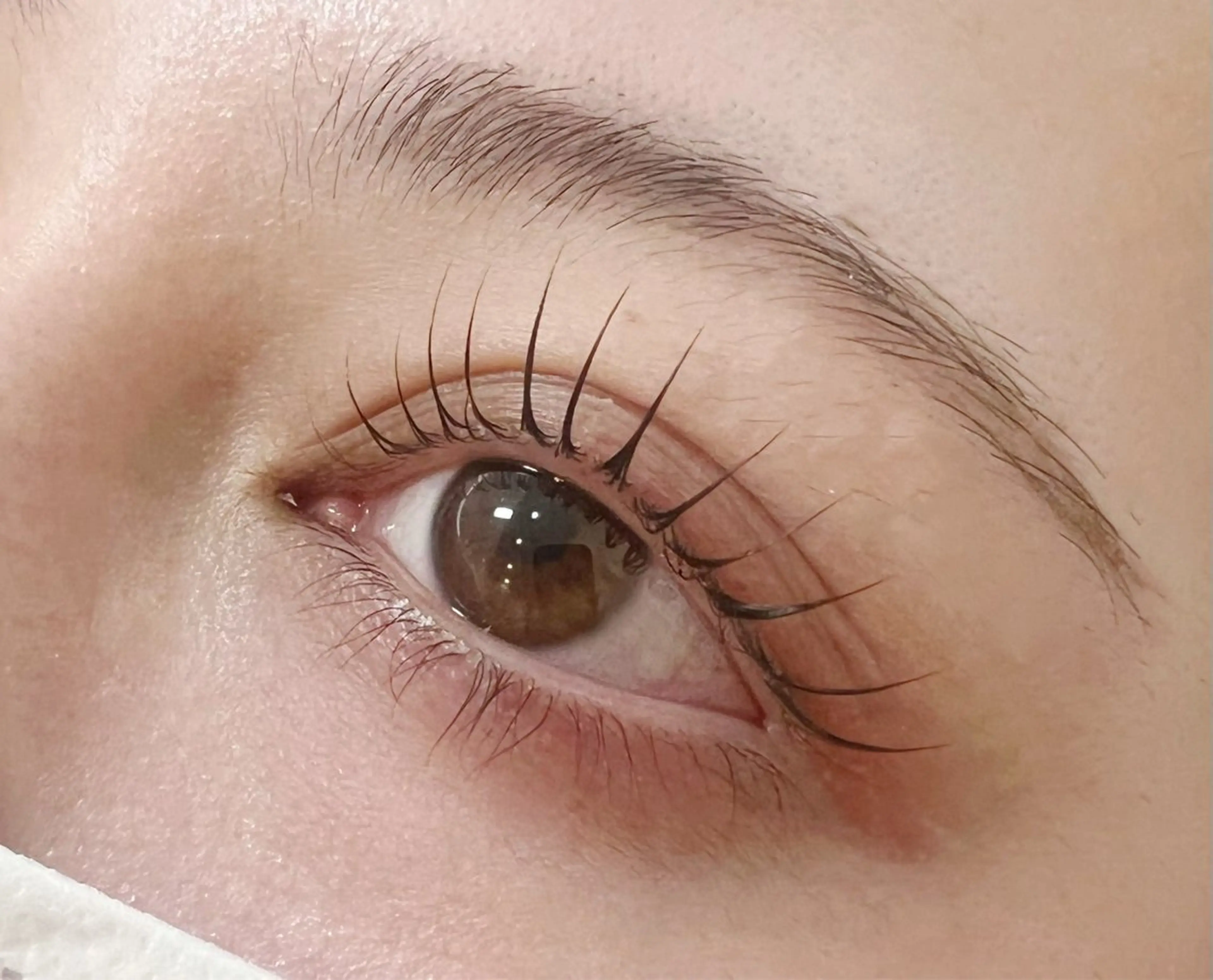 マツエク・マツパ マツパ anela shioriのマツエク・マツパデザイン