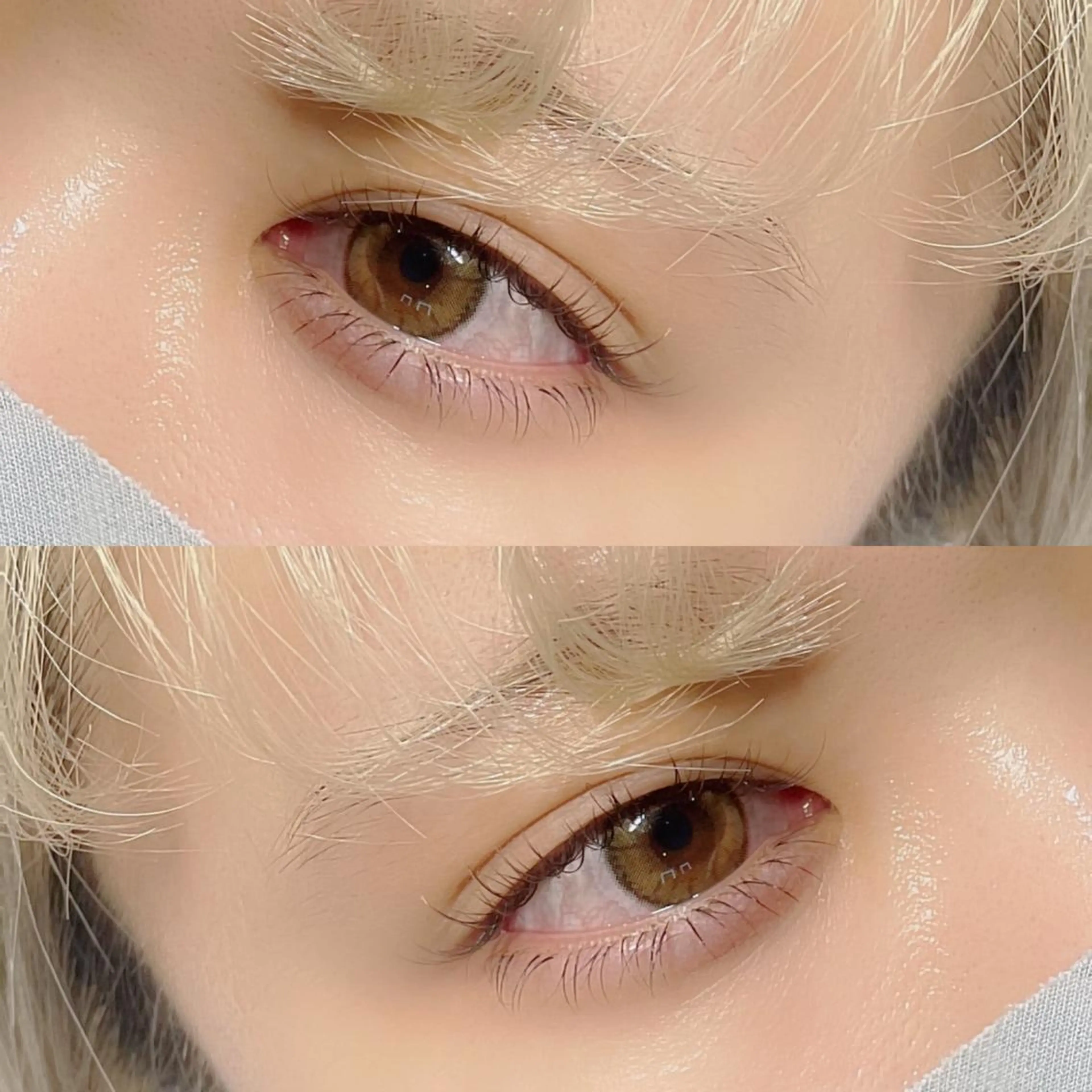 当店オフ込み🪴フラットラッシュ100本の写真