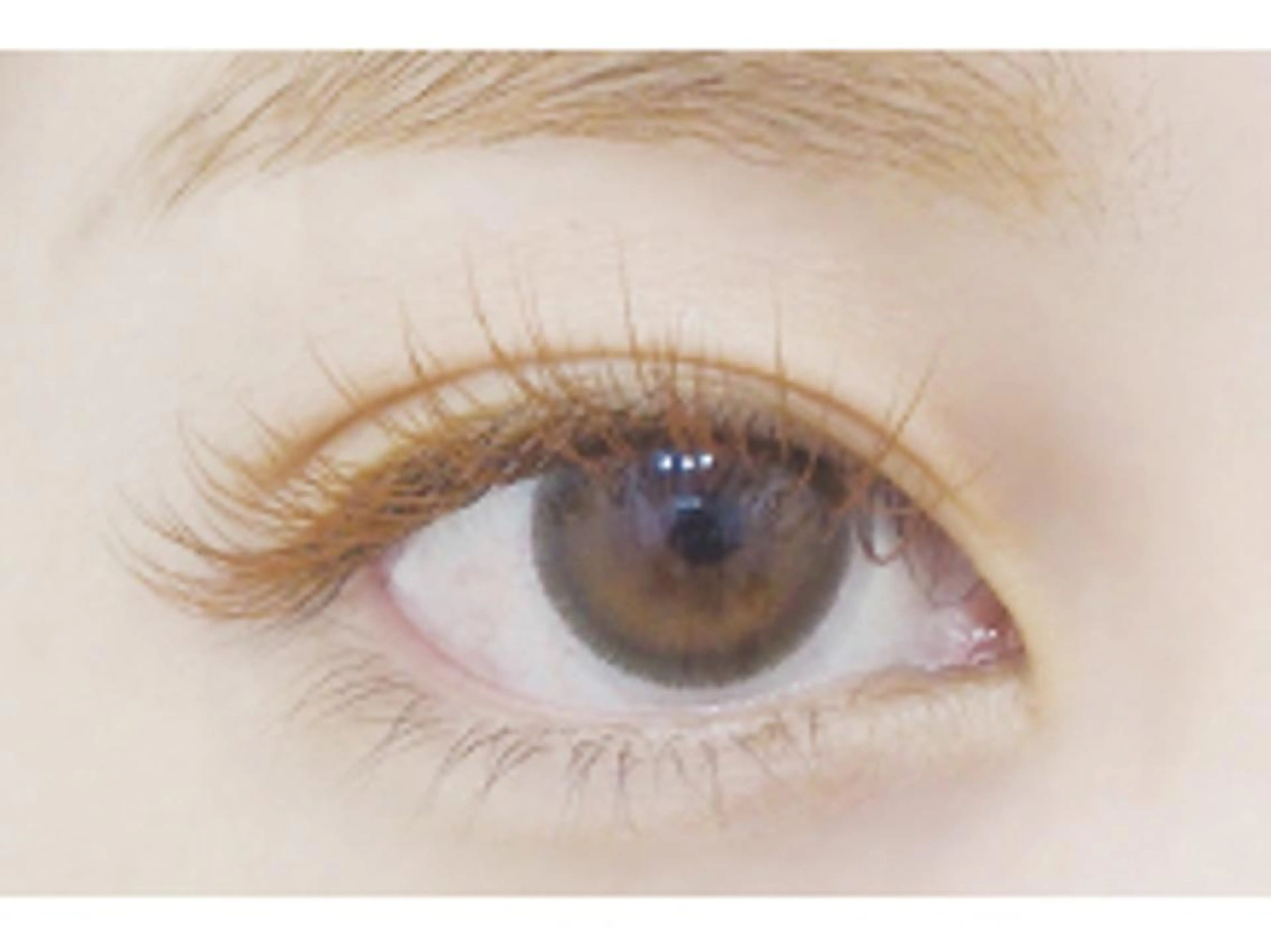 マツエク・マツパ カラーマツエク Dカール セーブル glee 川口駅前店のマツエク・マツパデザイン