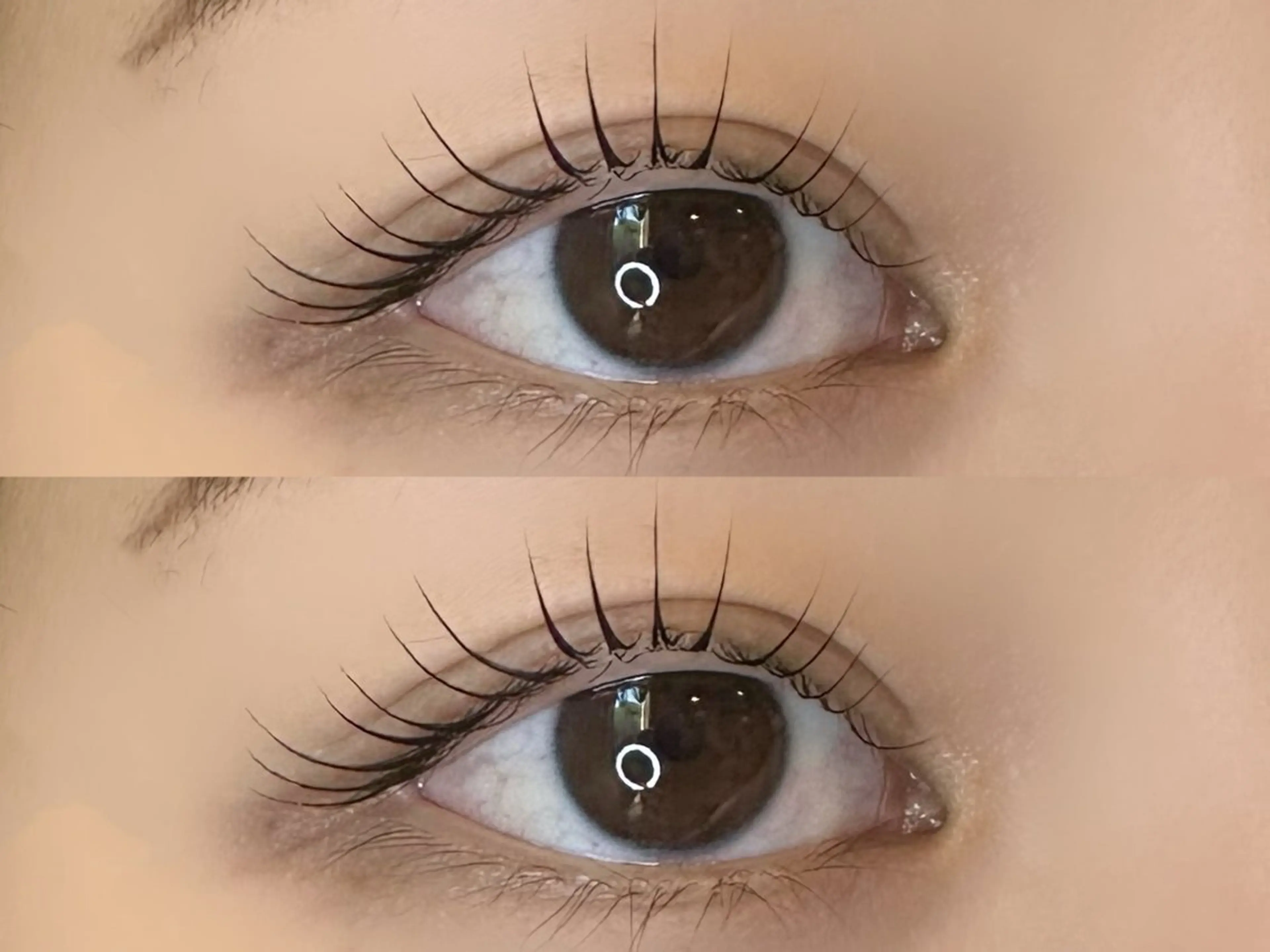 〖ご新規様限定 〗まつげカール⋆౨ৎ˚ (初心者の方にオススメです🫧)の写真