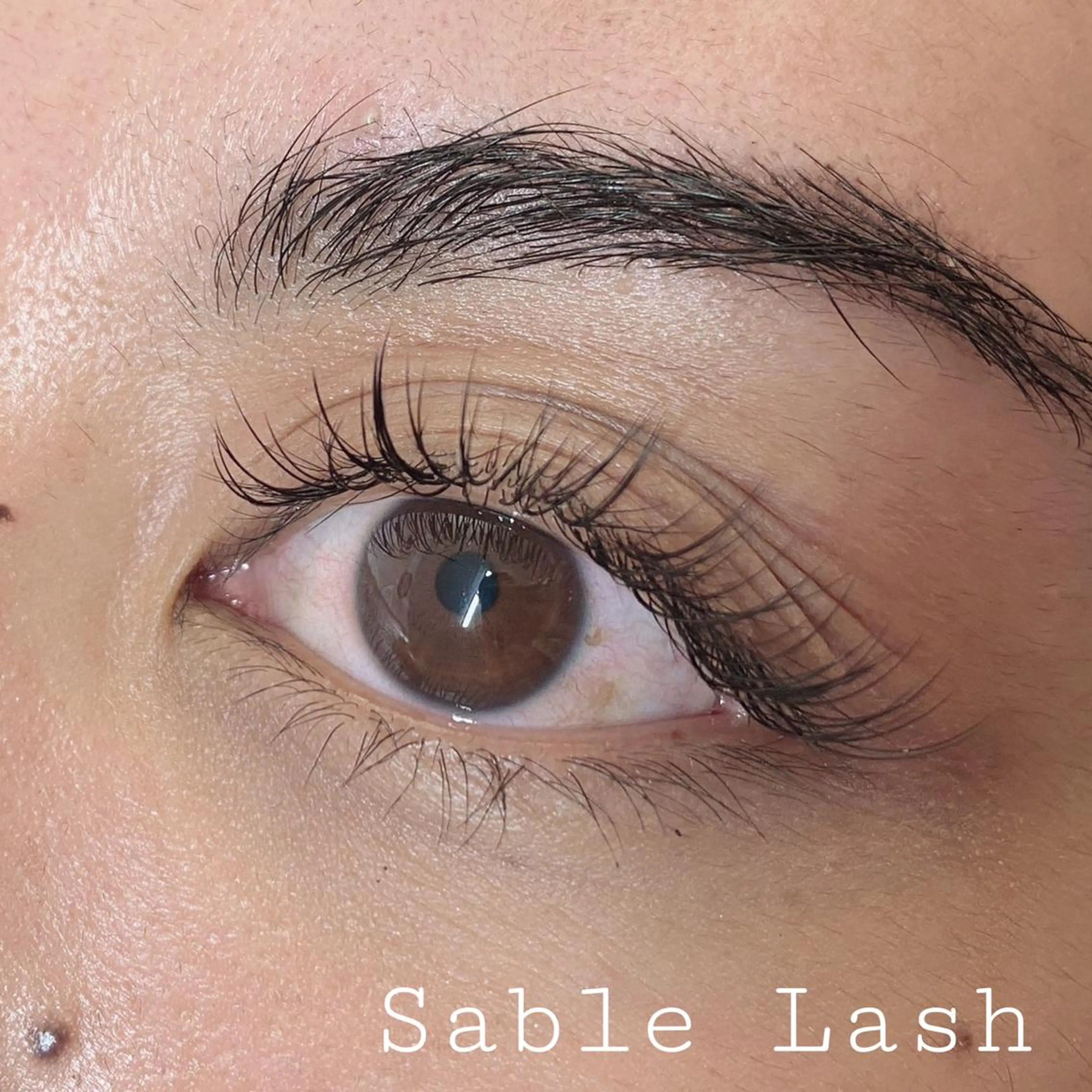 🔥学割🔥フラットラッシュ100本　オフ有りは別途+¥550の写真