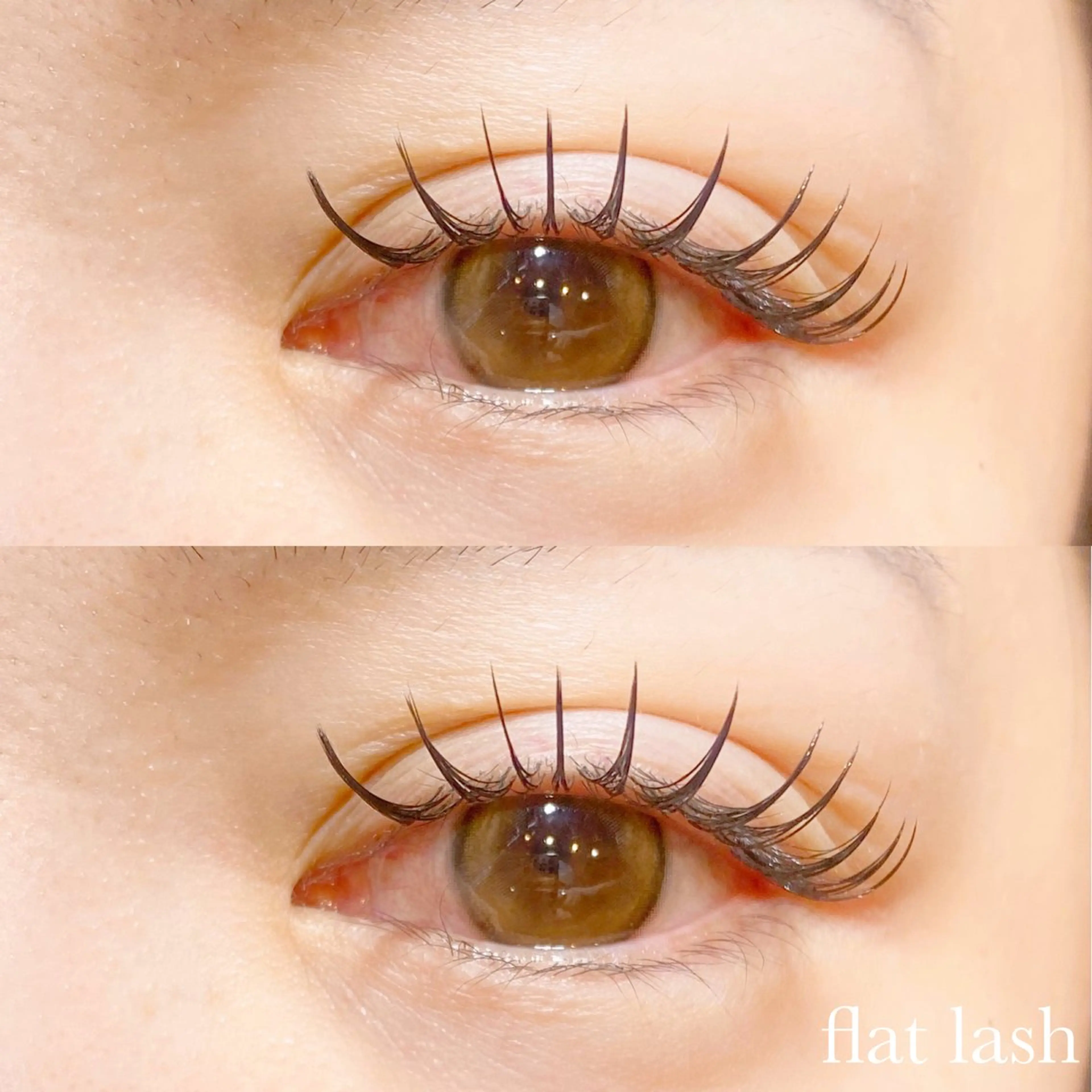 ボリューム派に🦋🦋セーブル付け放題(160本迄)¥5000 or  フラットラッシュ付け放題¥6000🦋🦋✨の写真