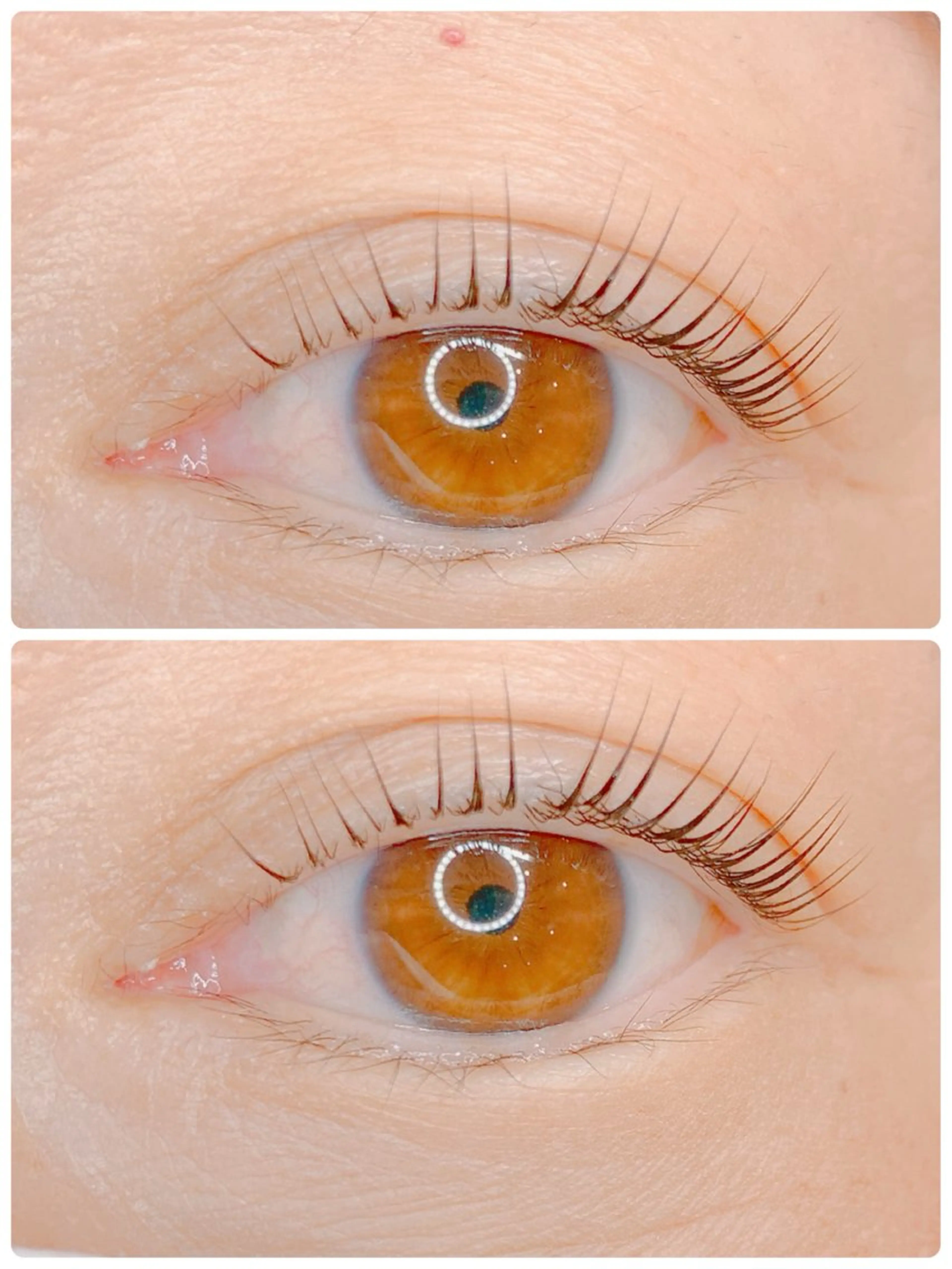 マツエク・マツパ AY  LASH 松田のマツエク・マツパデザイン