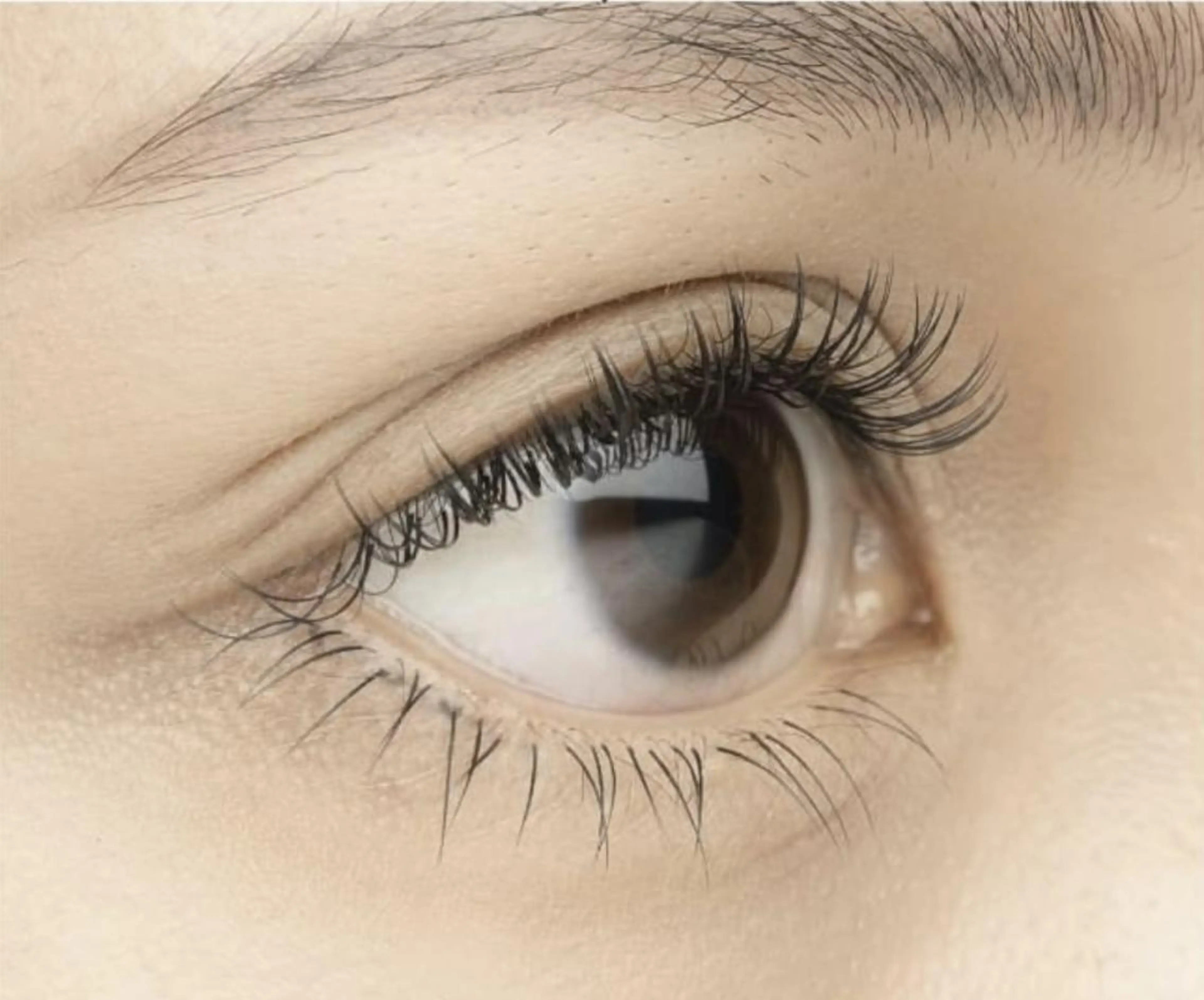 マツエク・マツパ LULLABY 吉祥寺店のマツエク・マツパデザイン