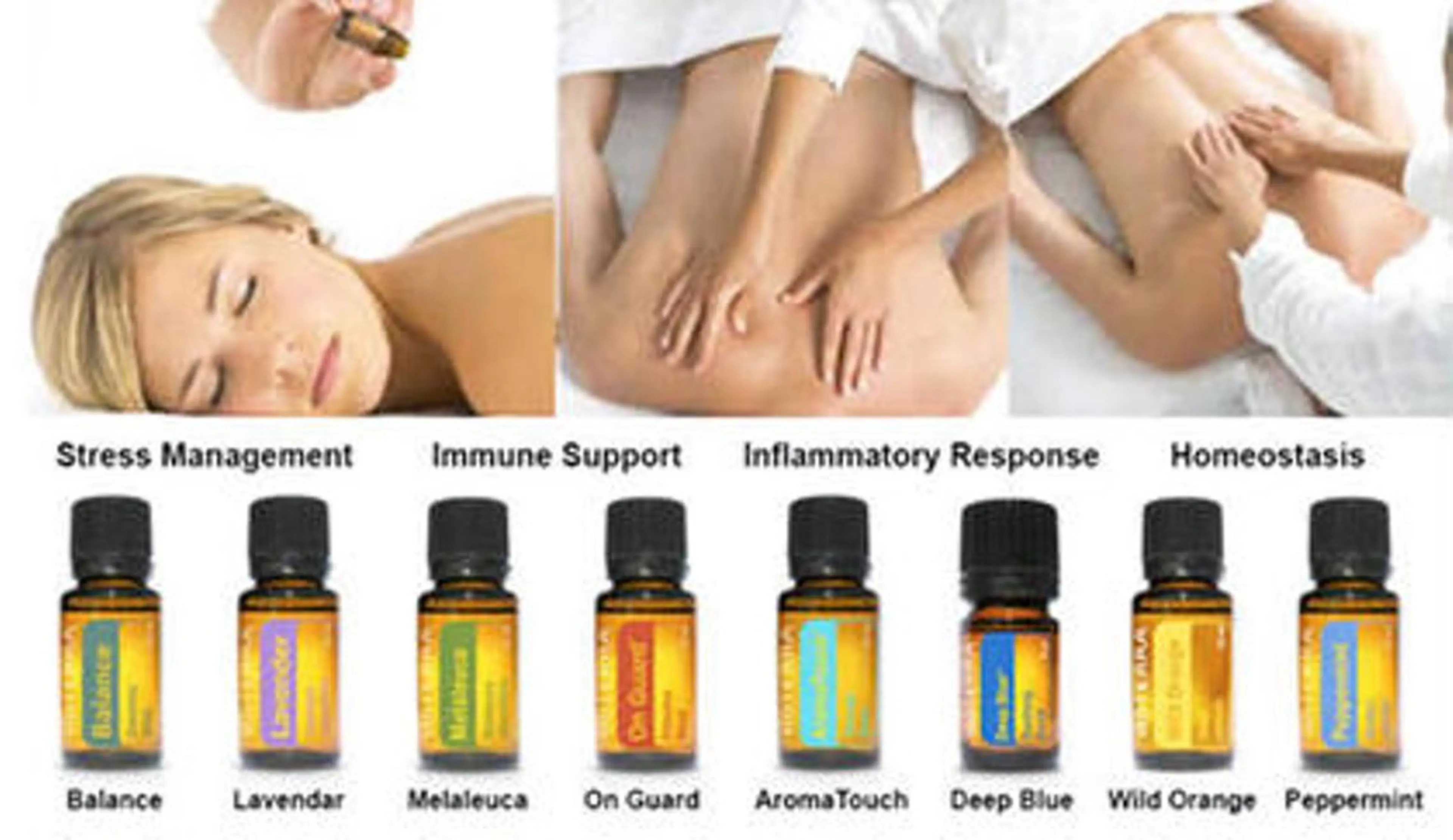 【すぐ使えるマッサージオイル プレゼント中】アロマタッチケア 8本のメディカルアロマを使って身体と心のトリートメントの写真