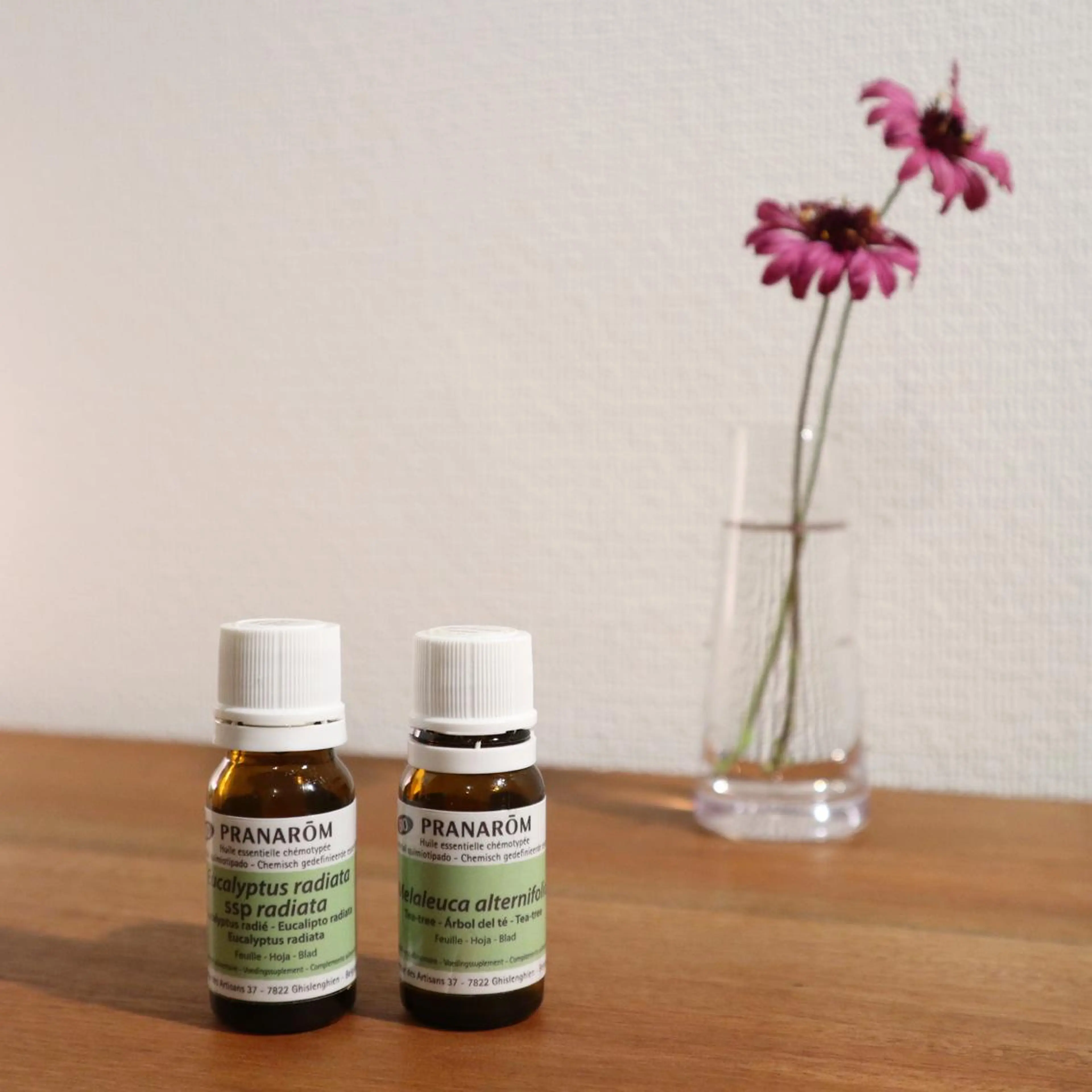 Lalala かねこのエステ・リラクイメージ