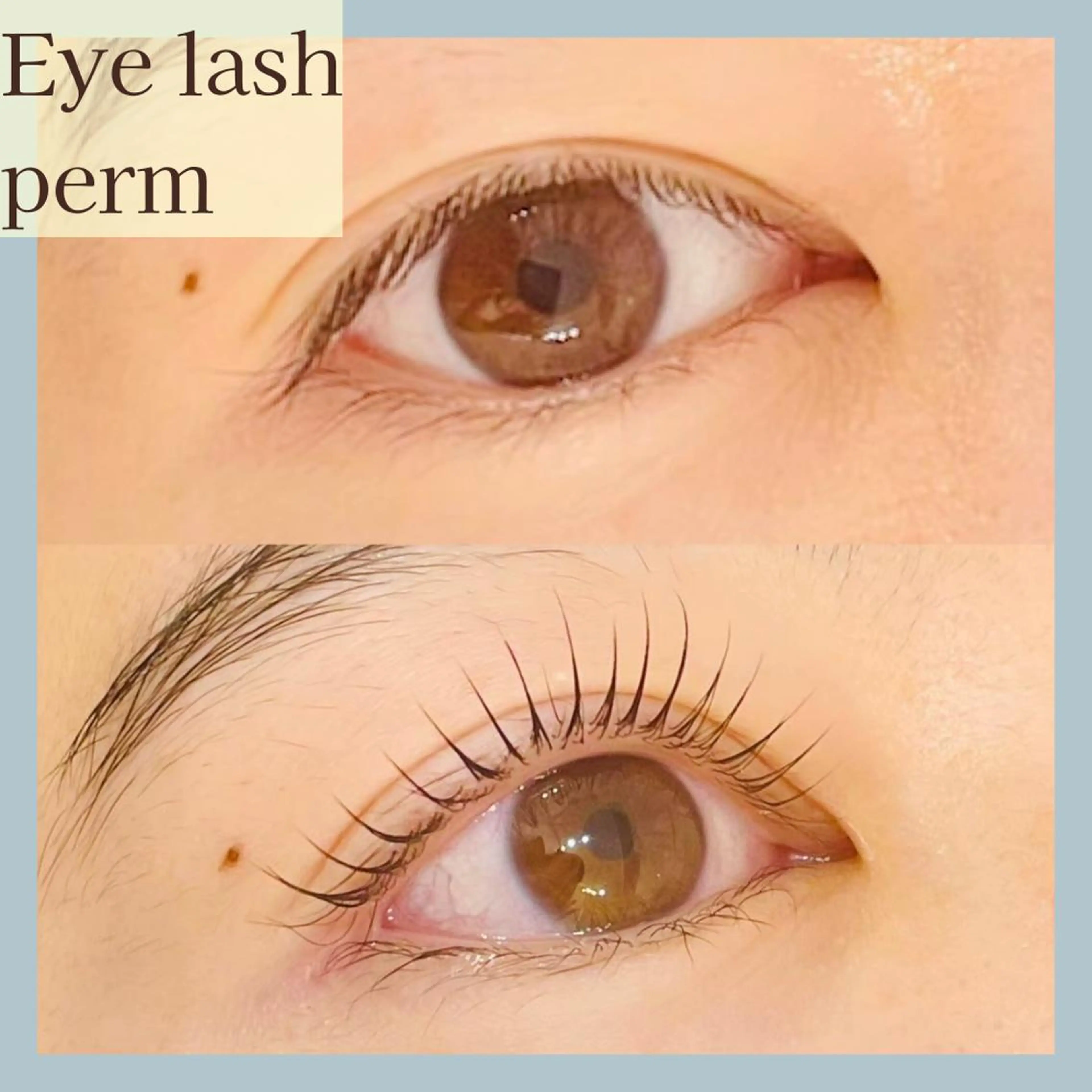 🌼まつパ🌼マンツーマン施術｜まつ毛パーマorパリジェンヌ🌼|ご新規様限定！✨通常￥4,800 ＞＞＞ ￥4,200の写真