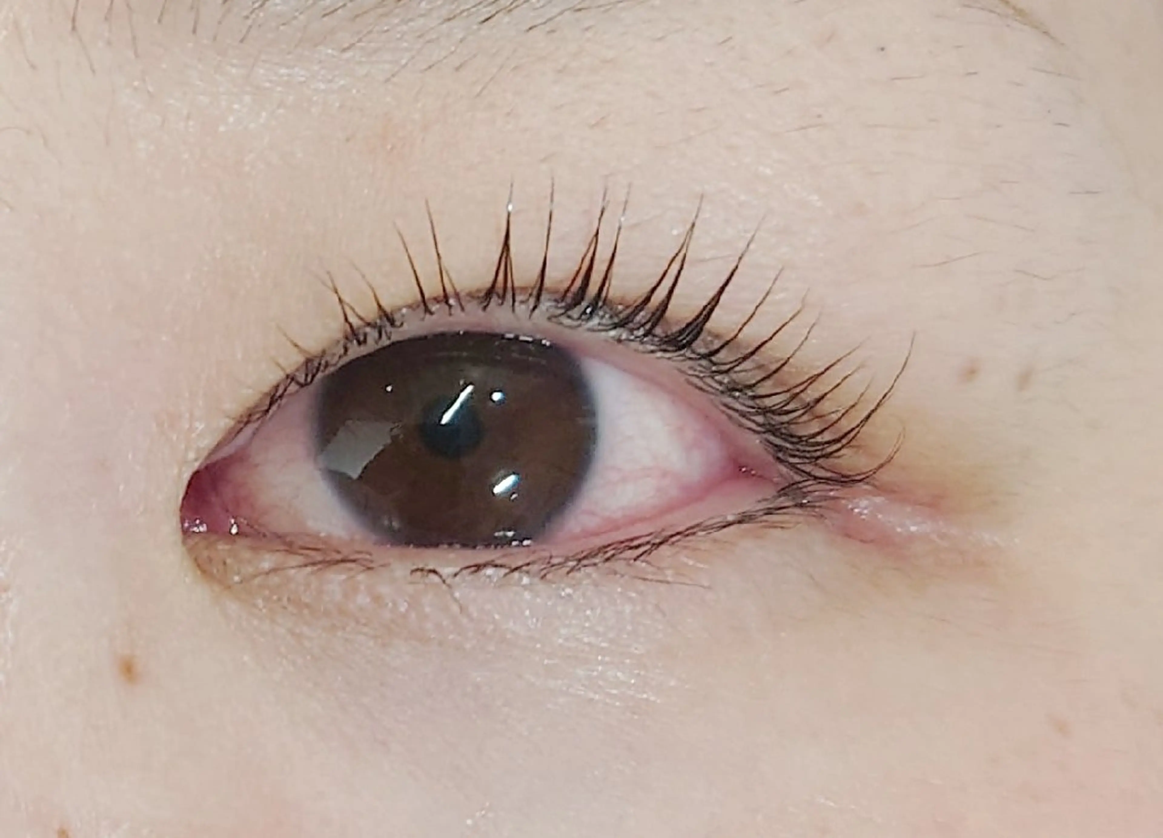 マツエク・マツパ ビューティーサロンMOMO所属・ビューティーサロン MOMOのマツエク・マツパデザイン