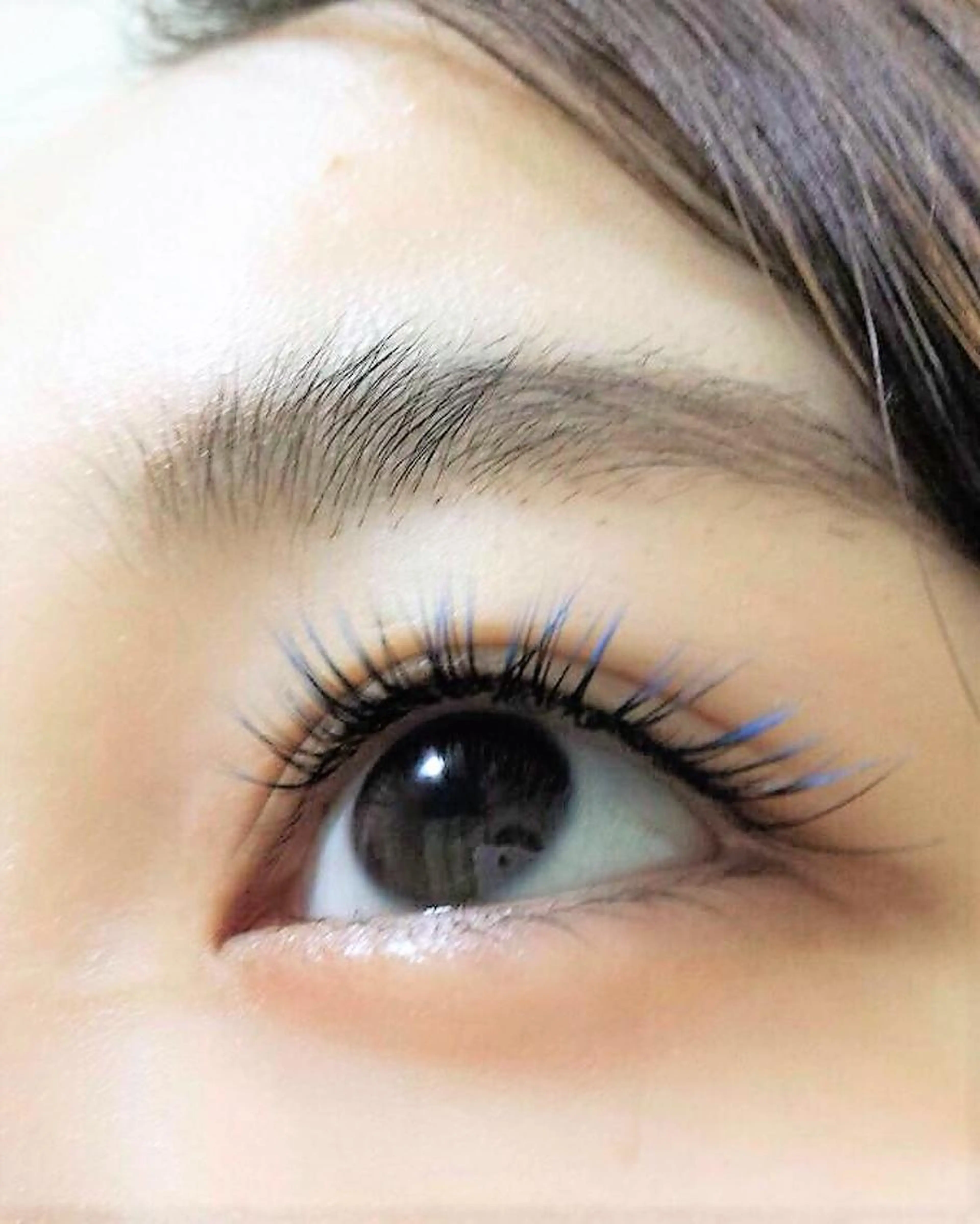 フラットラッシュ100本の写真