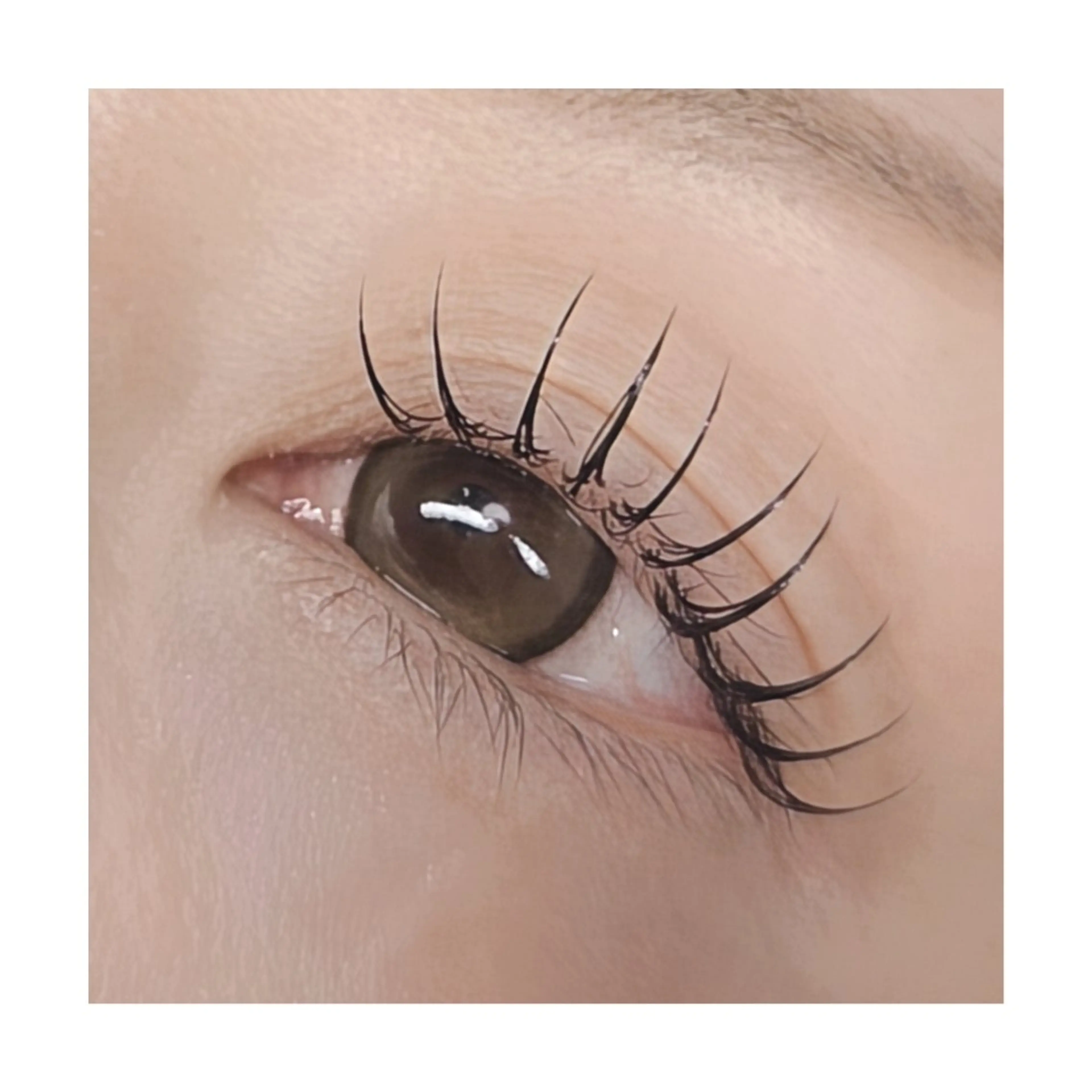 マツエク・マツパ フラットラッシュ まつげ屋さんリリィアイ所属・まつげ屋さん リリィアイのマツエク・マツパデザイン