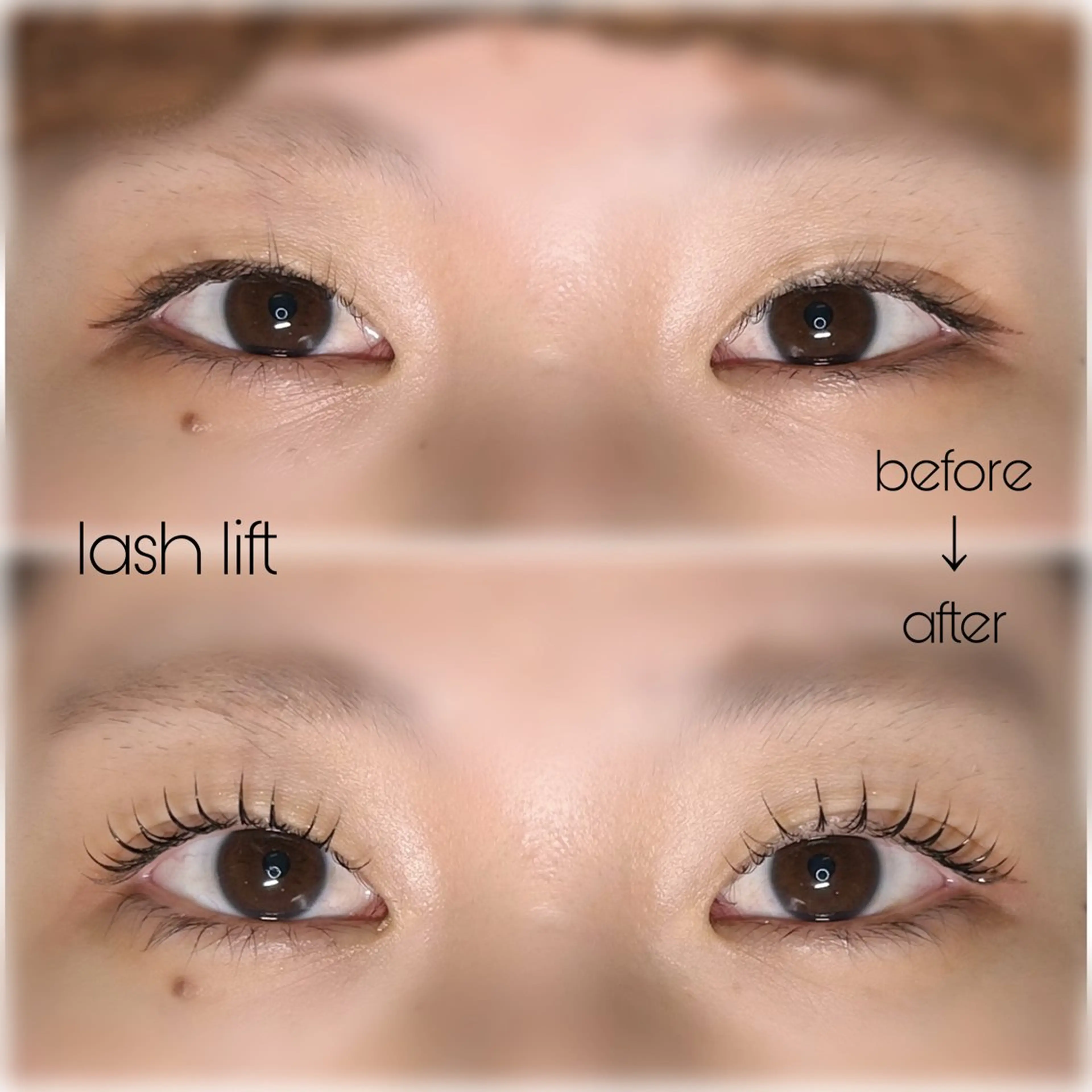 【🇫🇷パリジェンヌorラッシュリフト】✨高級トリートメント＆コーティング付✨の写真