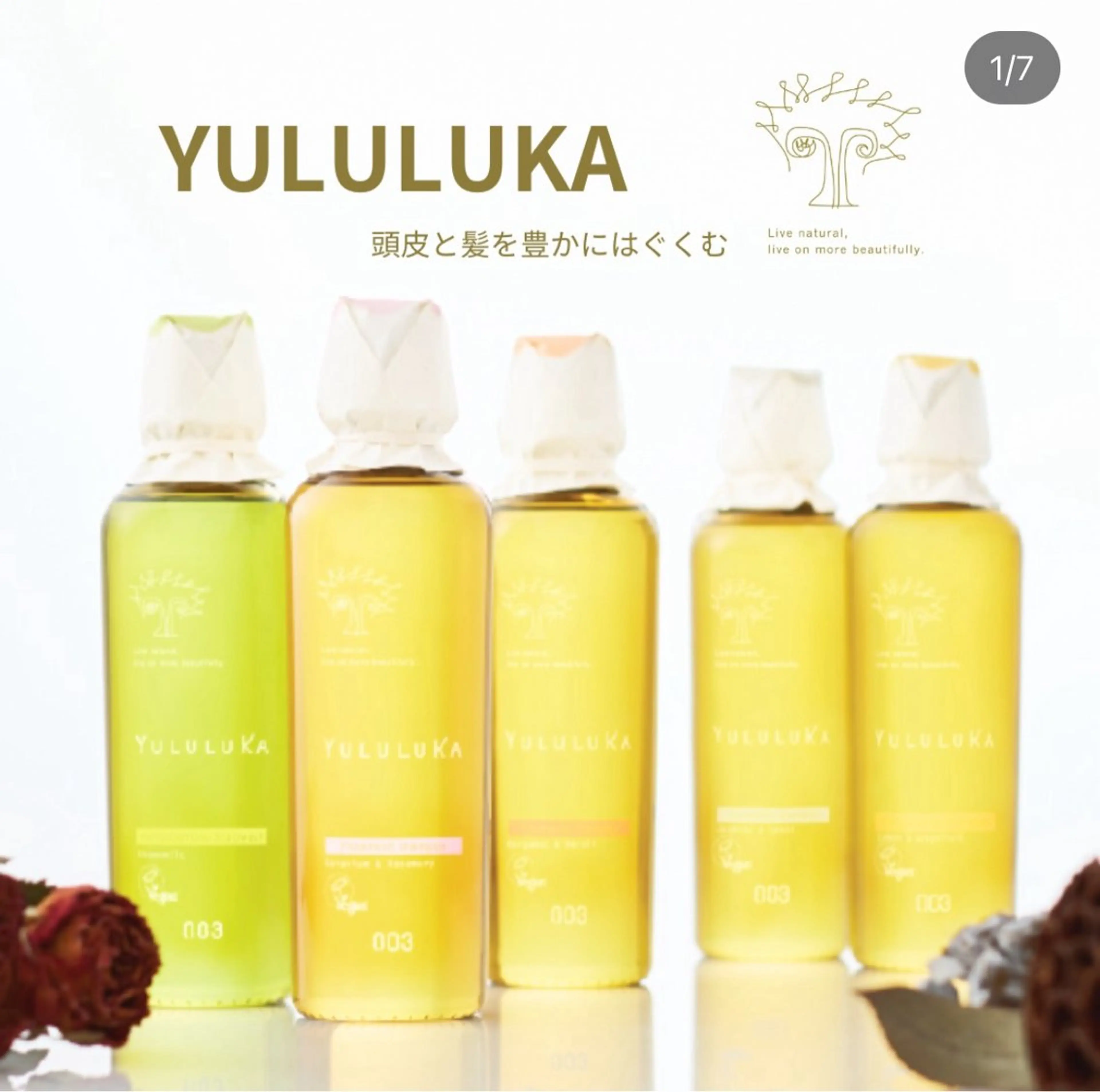 🌱平日限定🌱カット＋オーガニックトリートメント+アロマスパ(10分)の写真