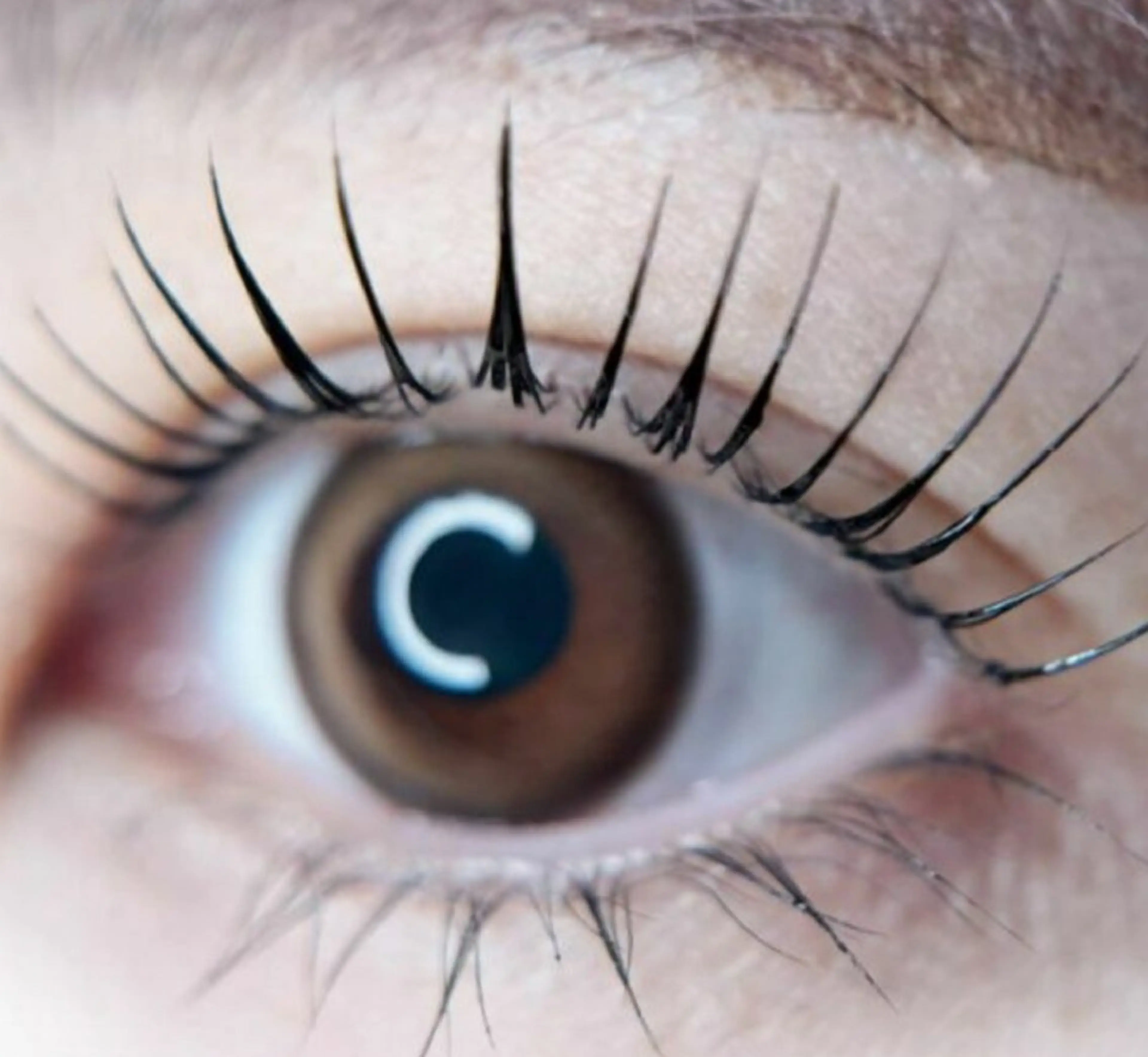 【韓国🇰🇷で大人気✨】マスカラパーマの写真