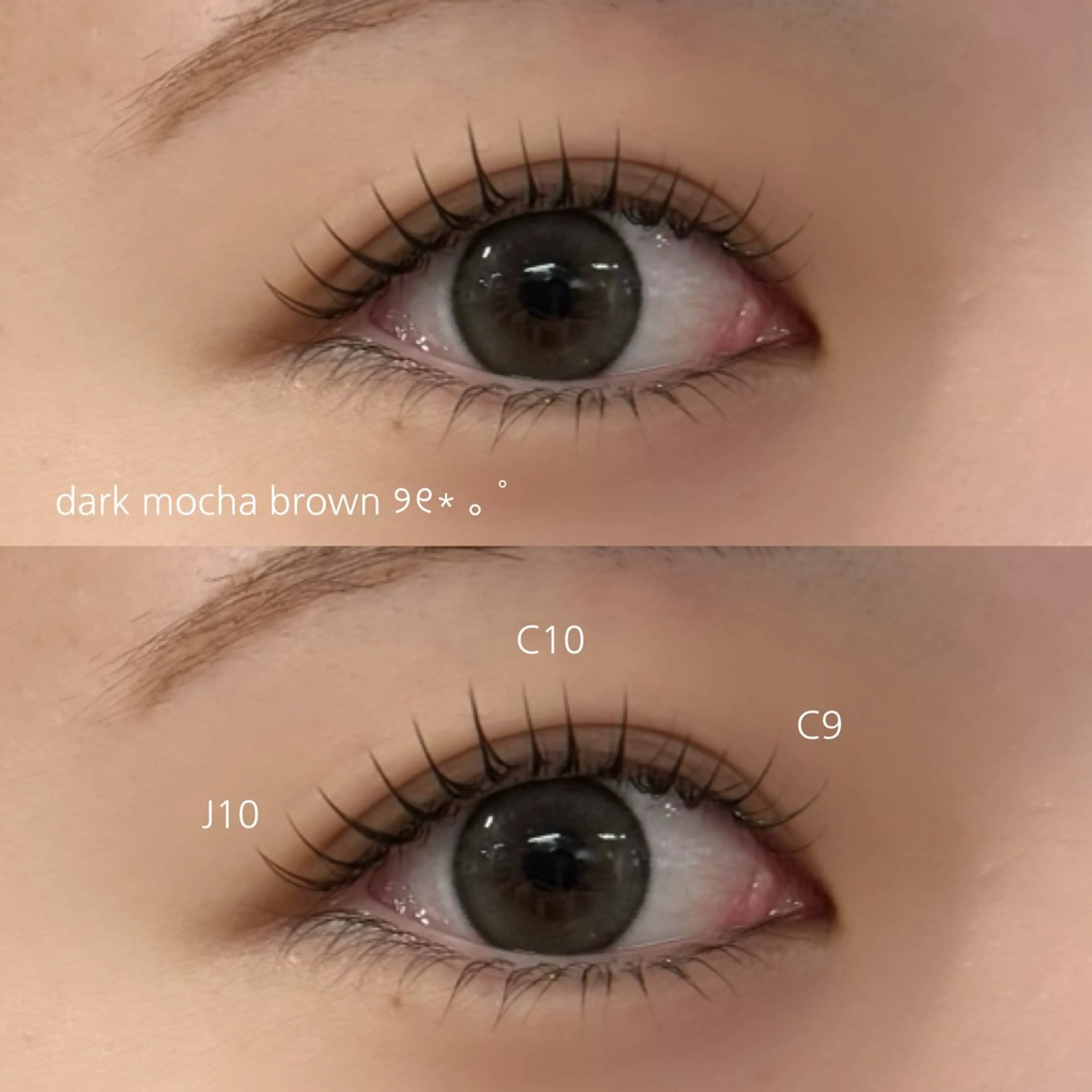 マツエク・マツパ マツエク 🎀NORA ayakaのマツエク・マツパデザイン