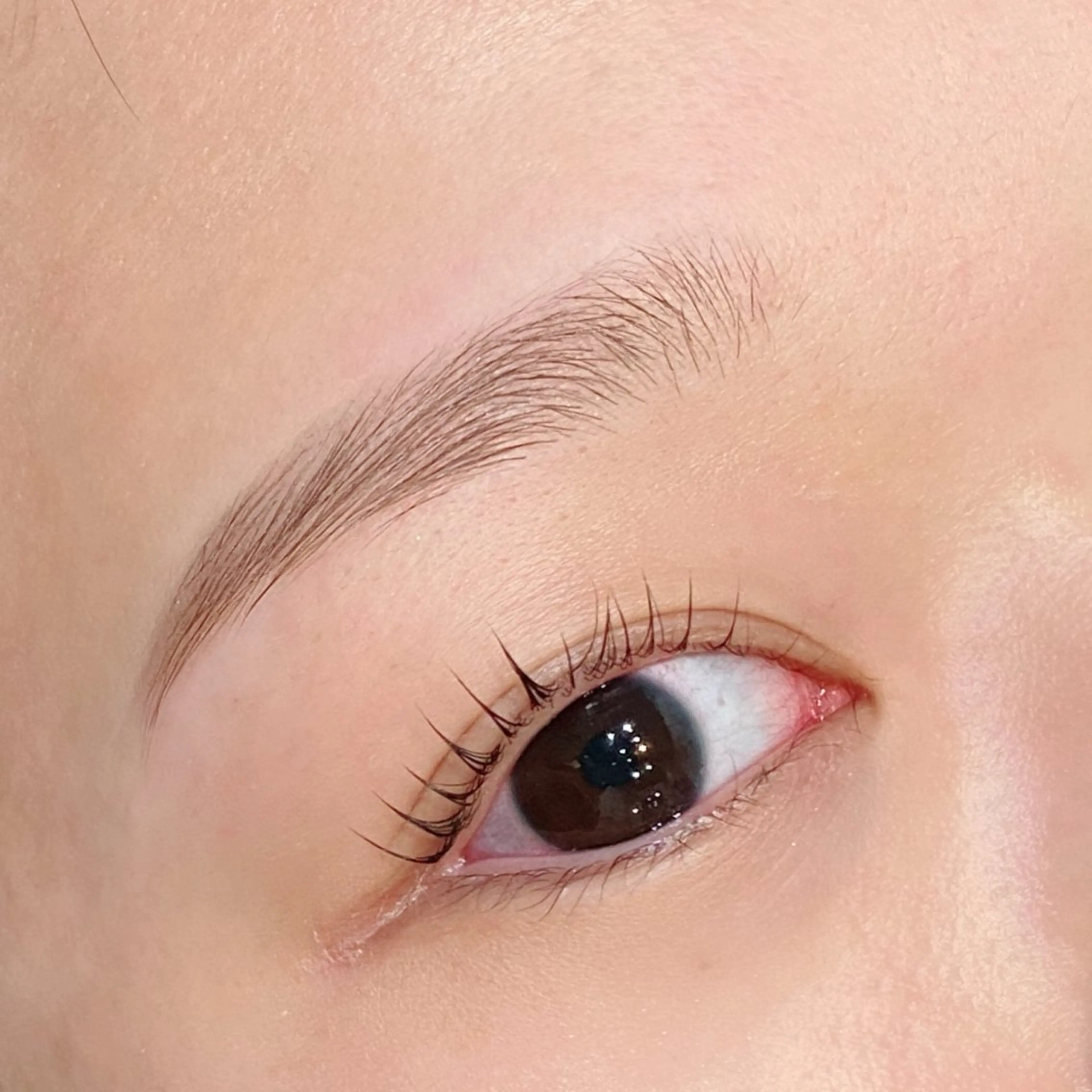 アイブロウ ワックス脱毛 その他(アイブロウ) haru所属・眉サロンharu 表参道🤍岡本の眉毛・アイブロウイメージ