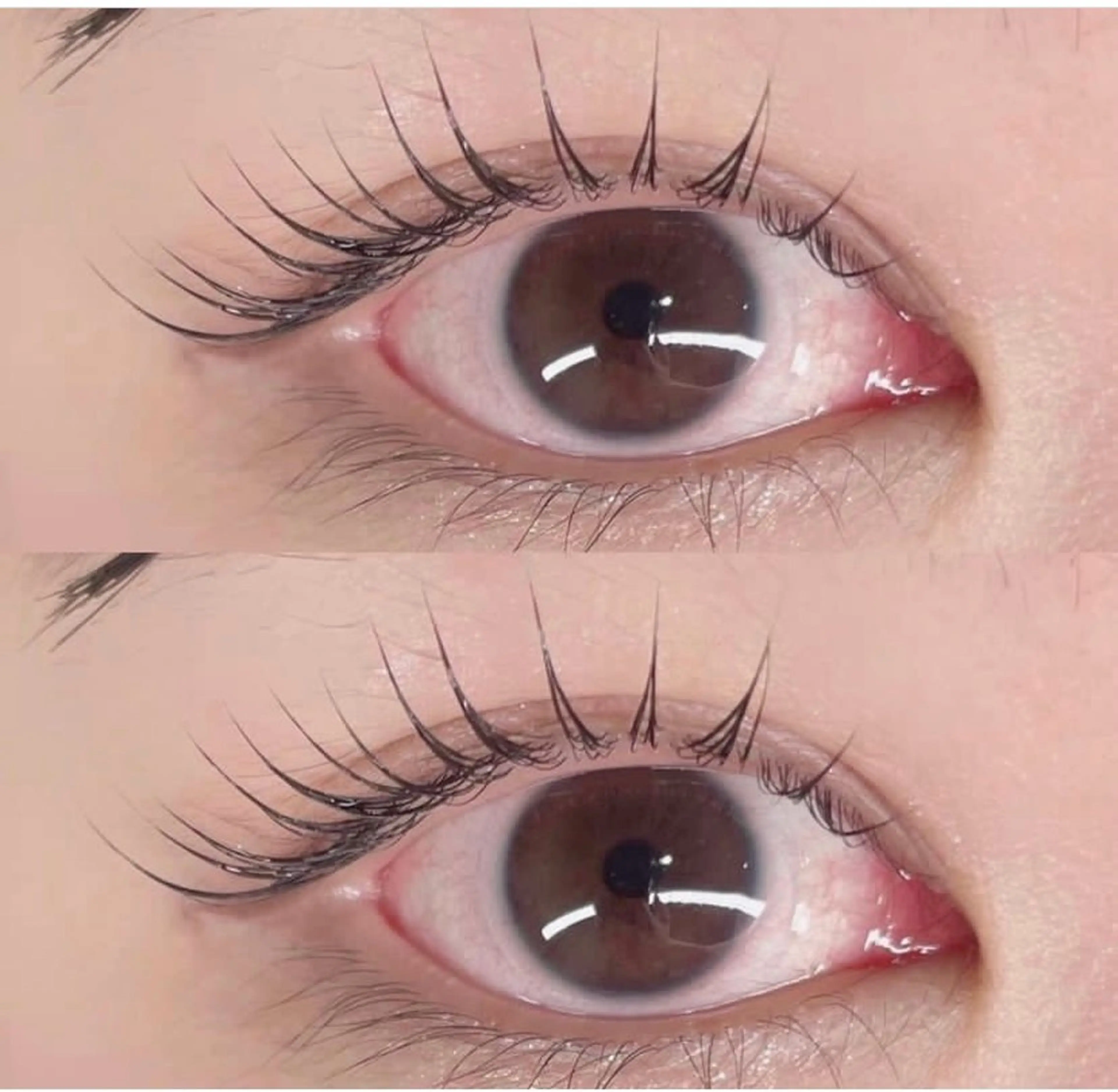 マツエク・マツパ PERFECT LASHスタジオ所属・塩澤 玲子のマツエク・マツパデザイン