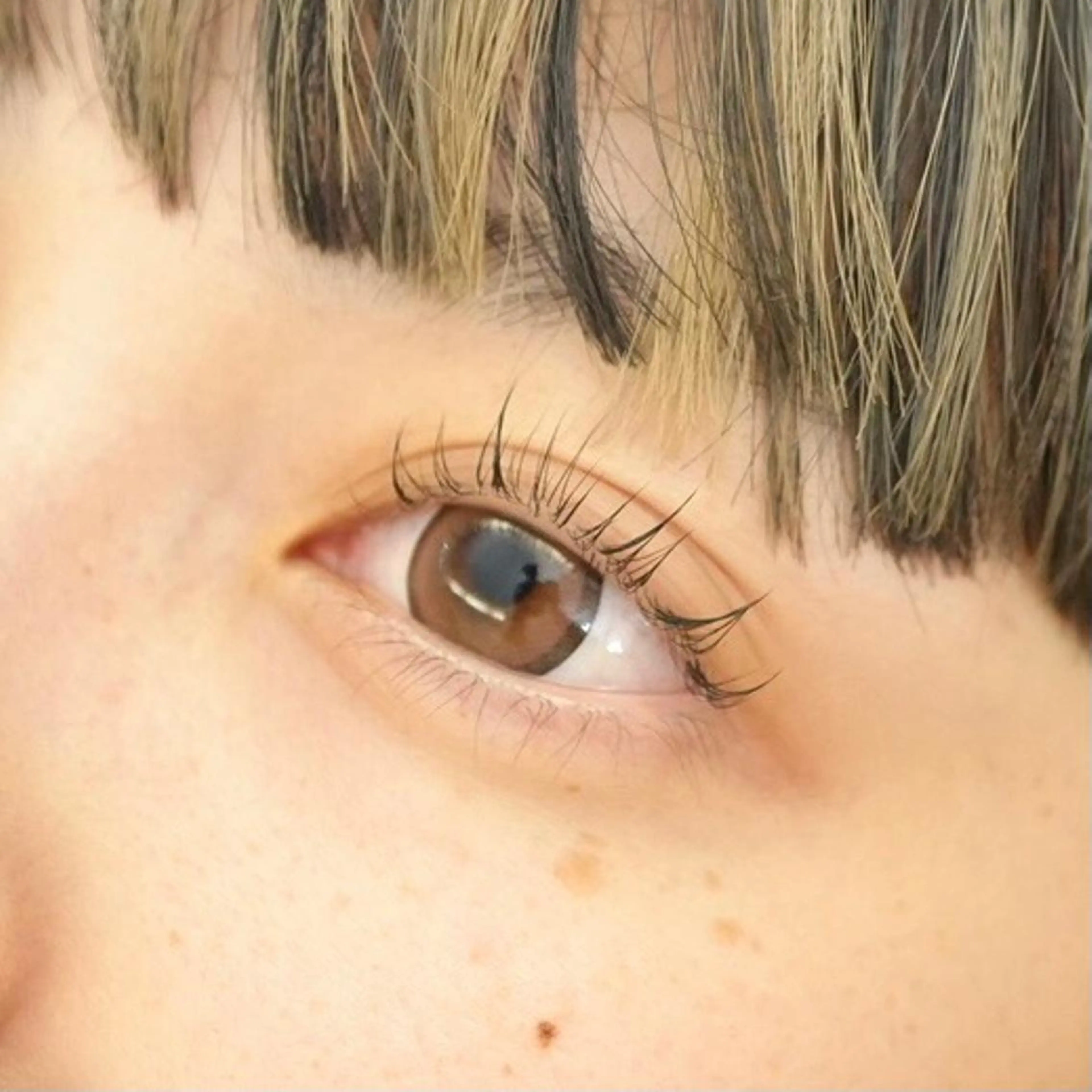 マツエク・マツパ まつげパーマ ワンホンマツエク ハニーラッシュ六本木店所属・鈴木 SUZUKIの眉毛・アイブロウイメージ