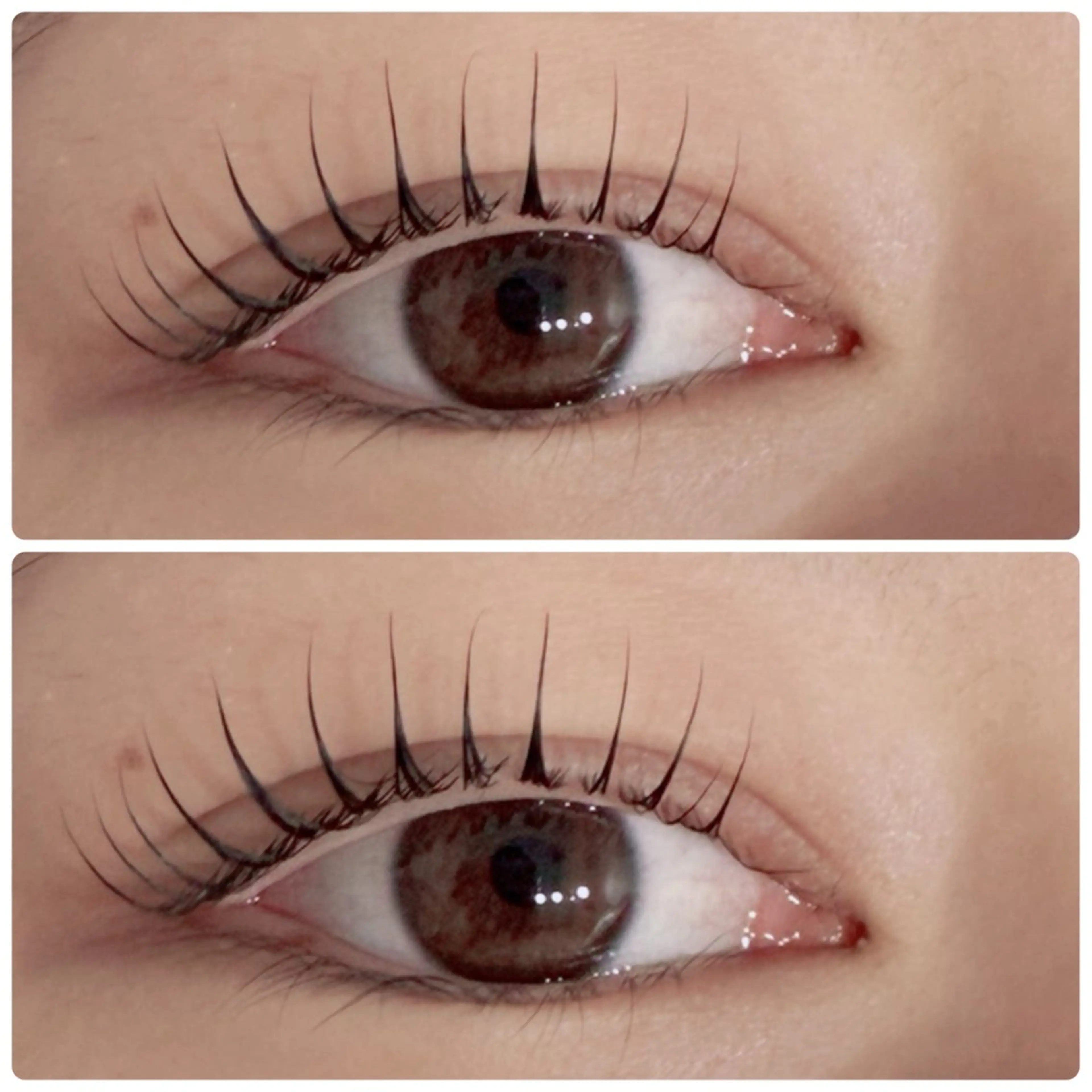 【ミニモ限定クーポン】💎パリジェンヌラッシュリフト💎美容液コーティング仕上げ◎の写真