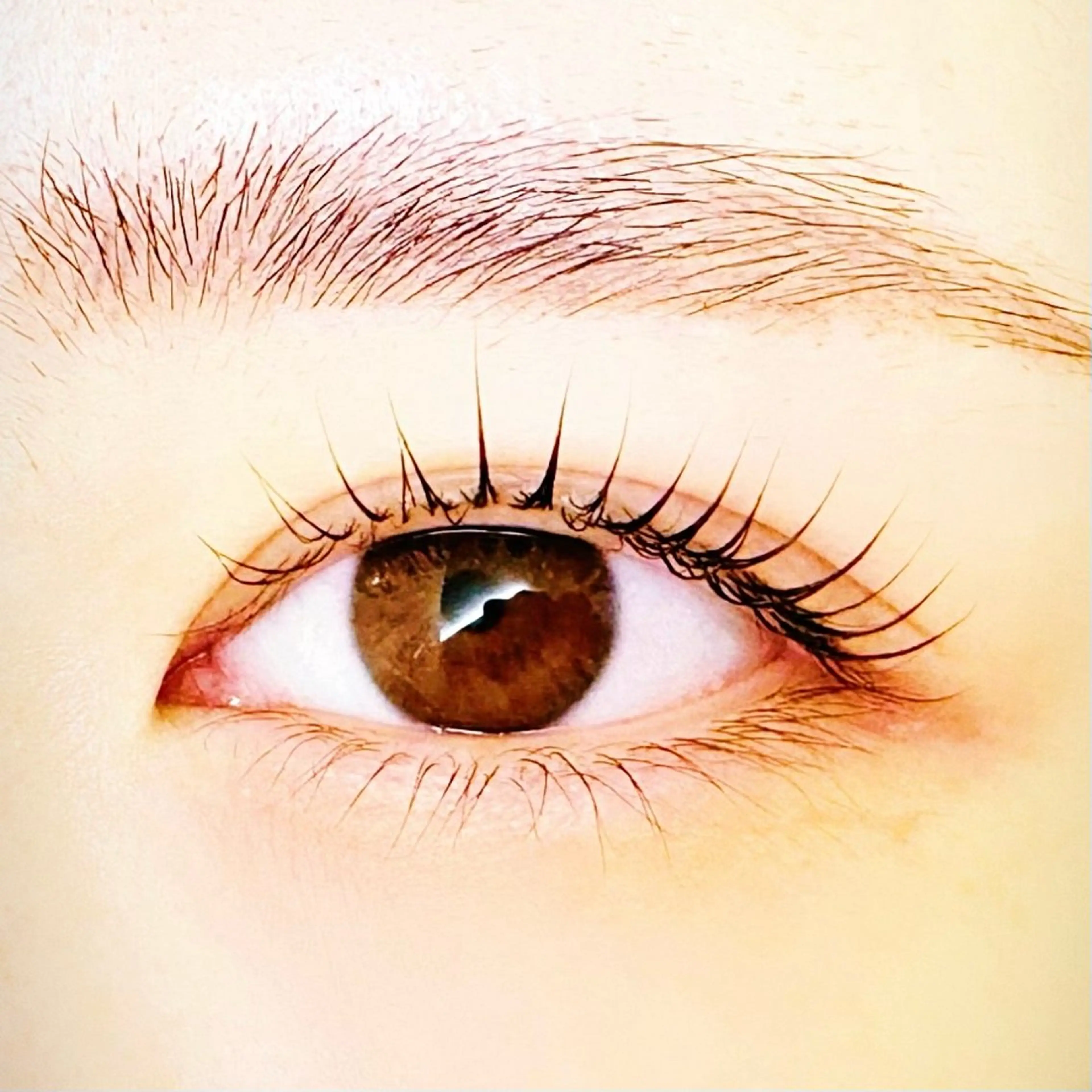 マツエク・マツパ eyelash salon まつかる所属・*まつかる *MAEHORI*のマツエク・マツパデザイン