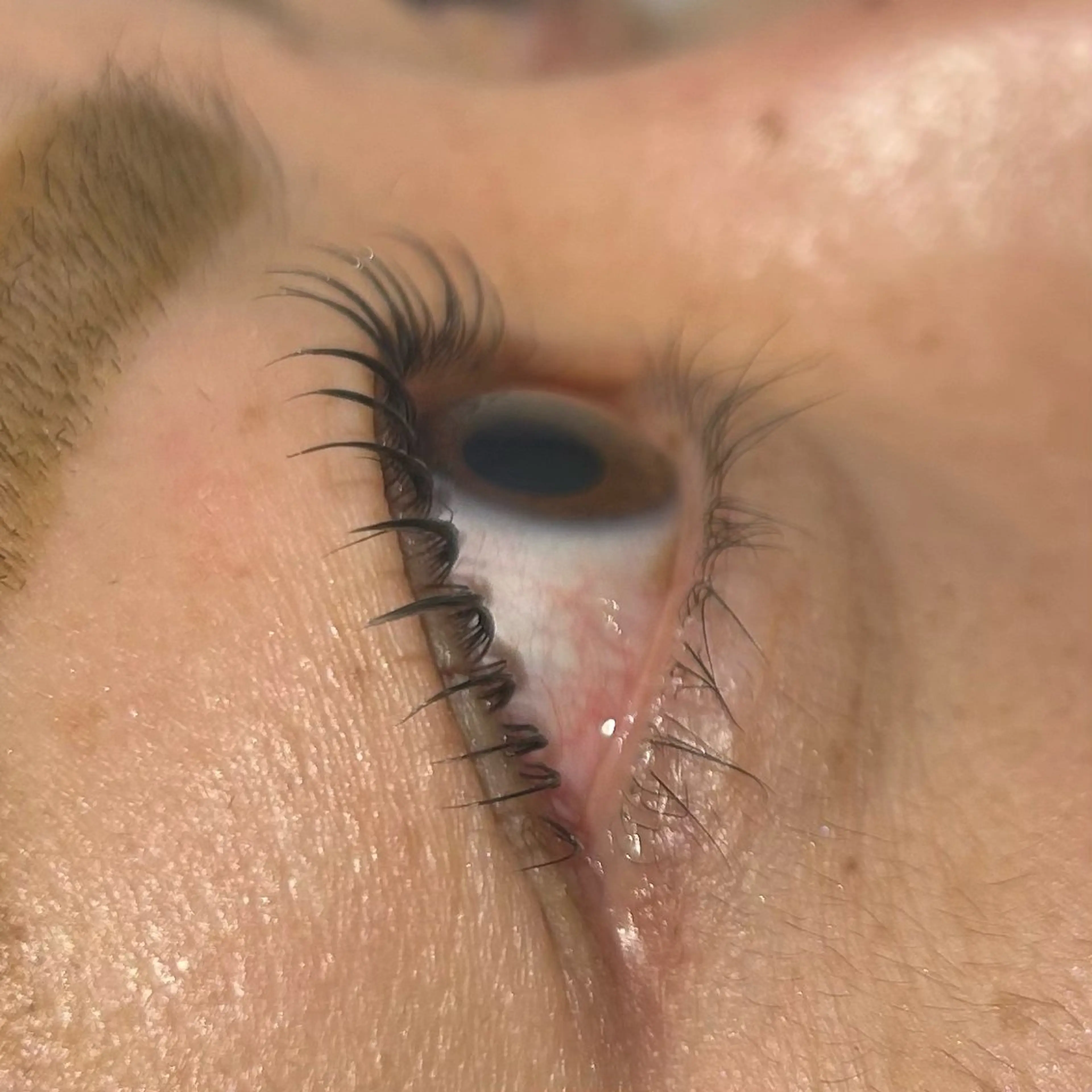 マツエク・マツパ マツパ アカマ レナのマツエク・マツパデザイン