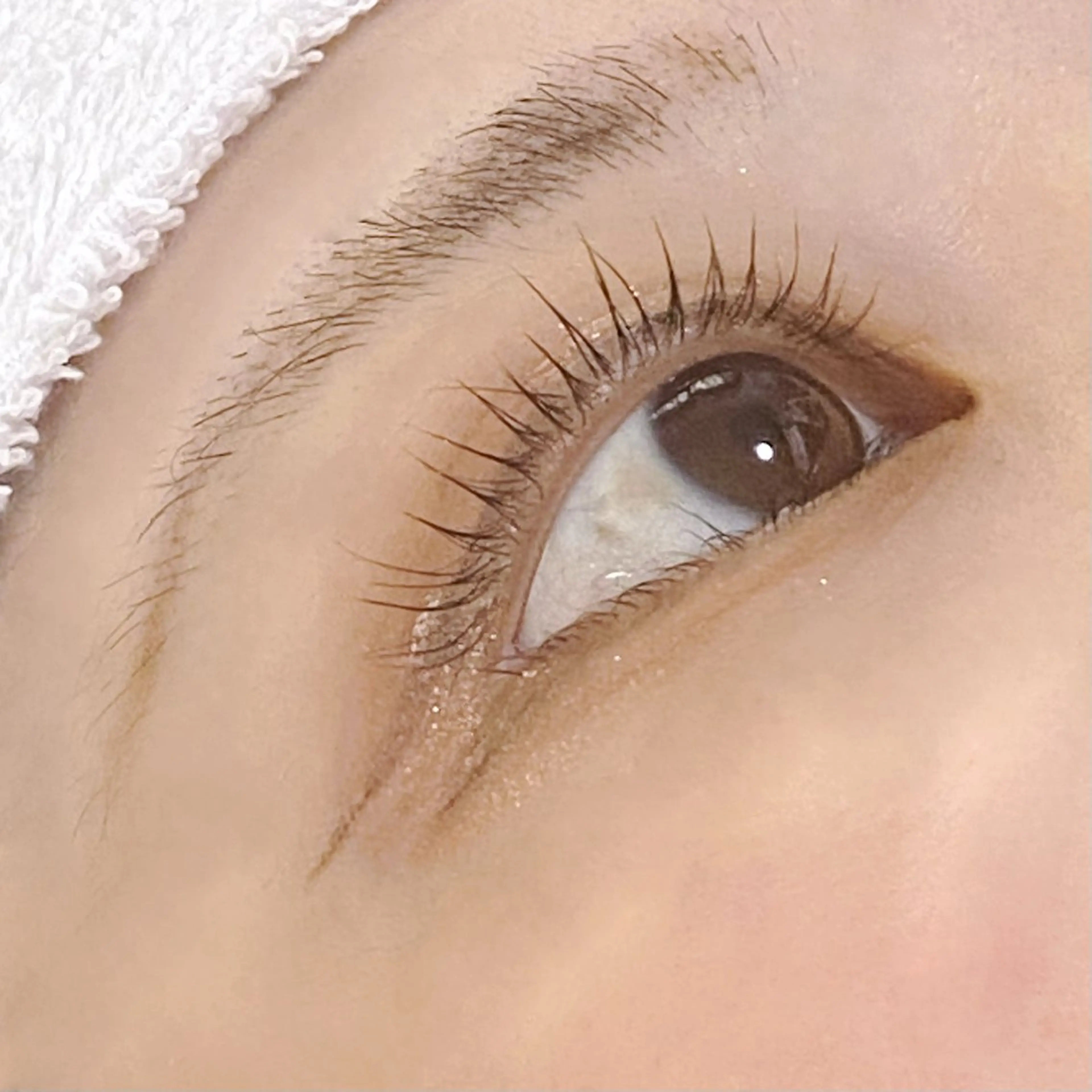 【初回】まつ毛パーマ期間限定値下げ中の写真