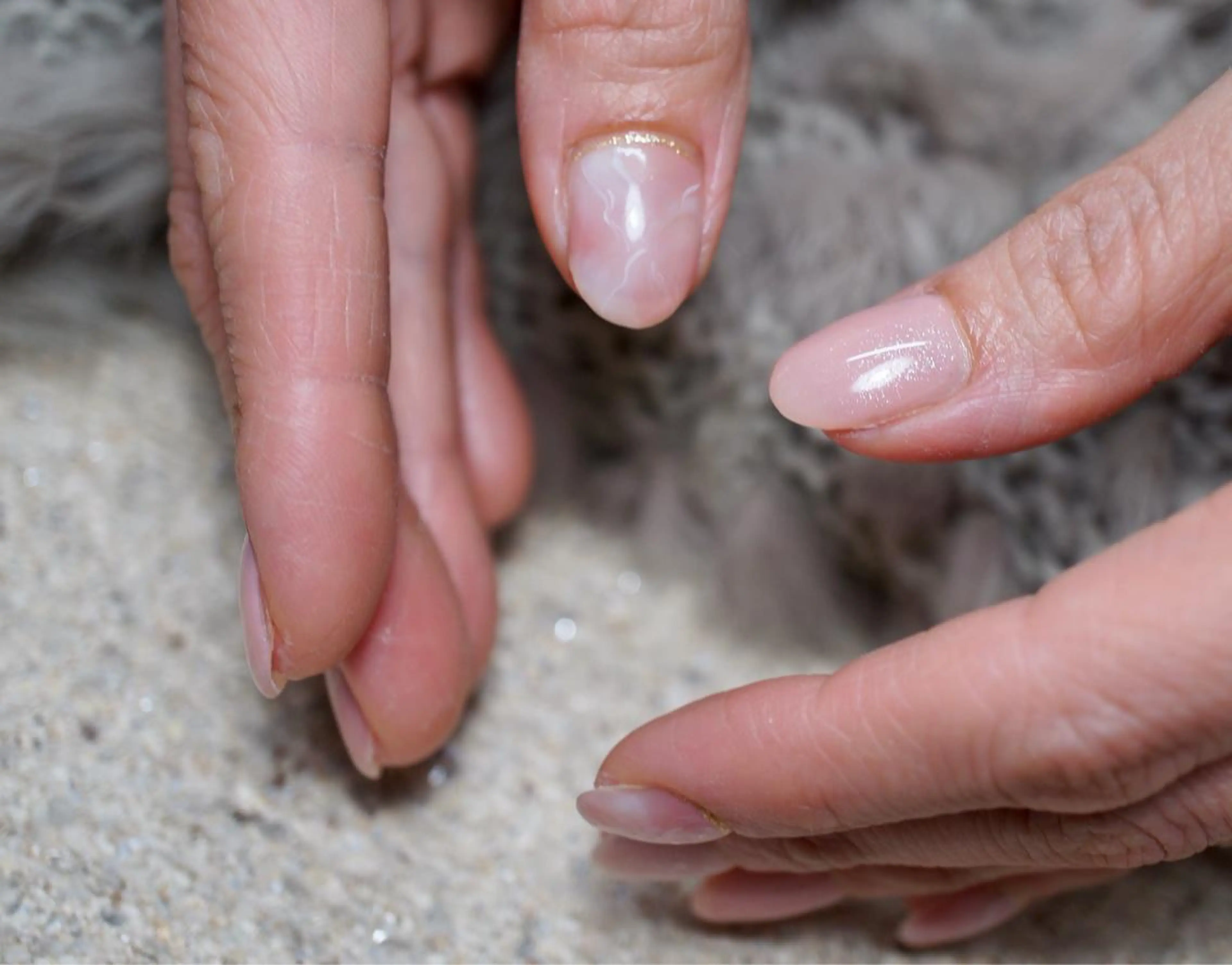 ネイル プライベートサロン jewel nailのネイルデザイン