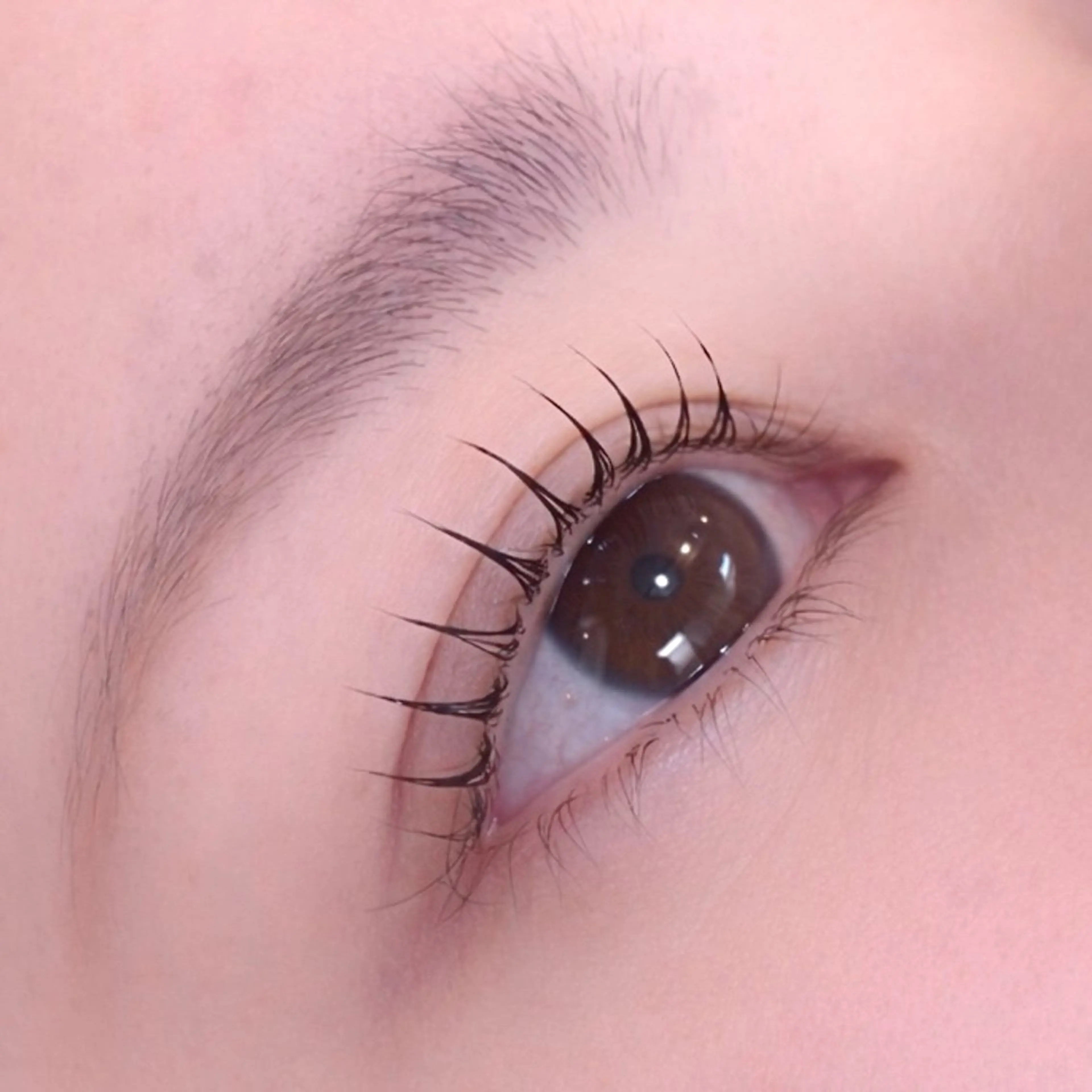 マツエク・マツパ pono ユイ🩵´-のマツエク・マツパデザイン