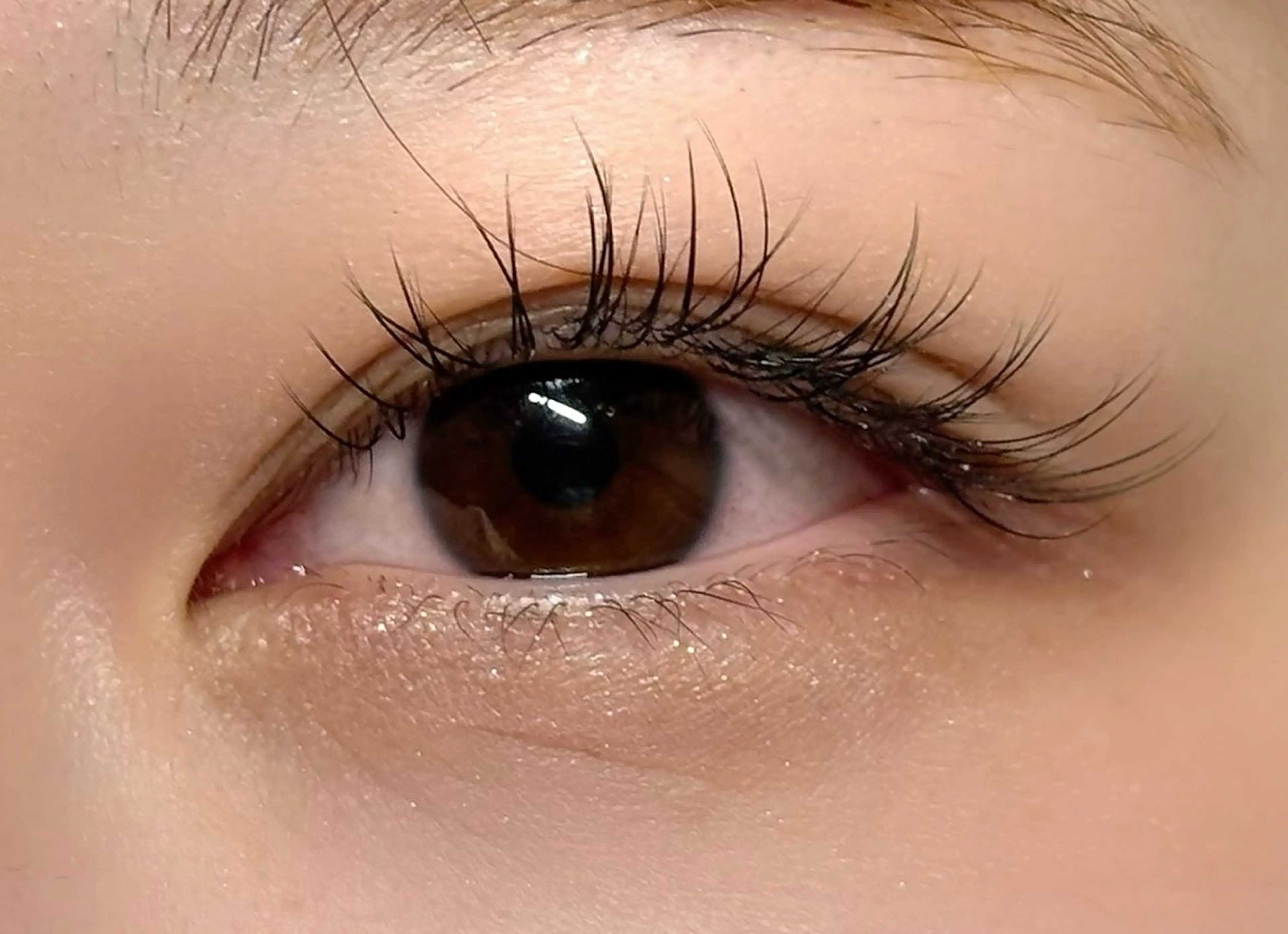 マツエク・マツパ フラットラッシュ tres AYANEのマツエク・マツパデザイン