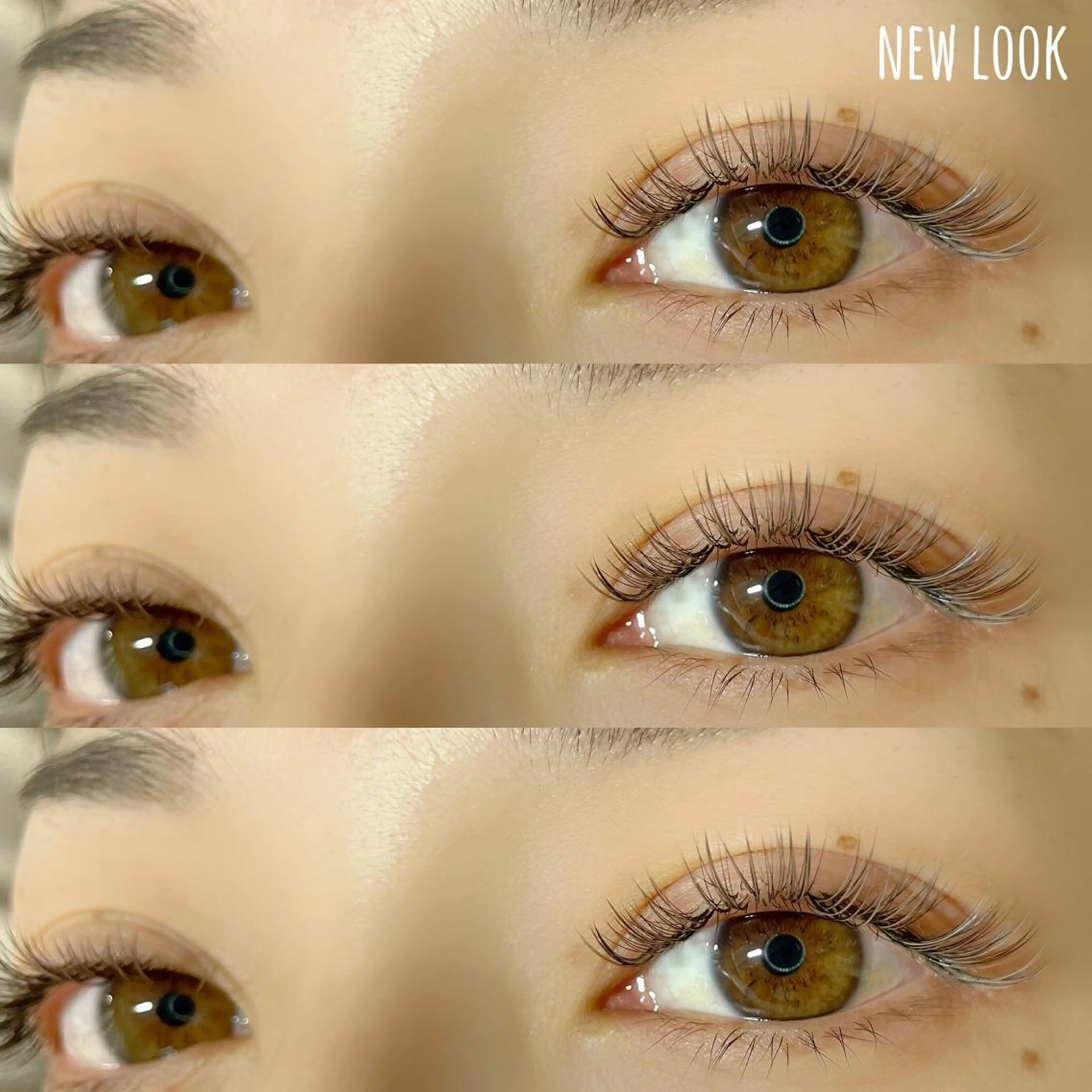 マツエク・マツパ カラーマツエク マツエク NEW LOOKのマツエク・マツパデザイン