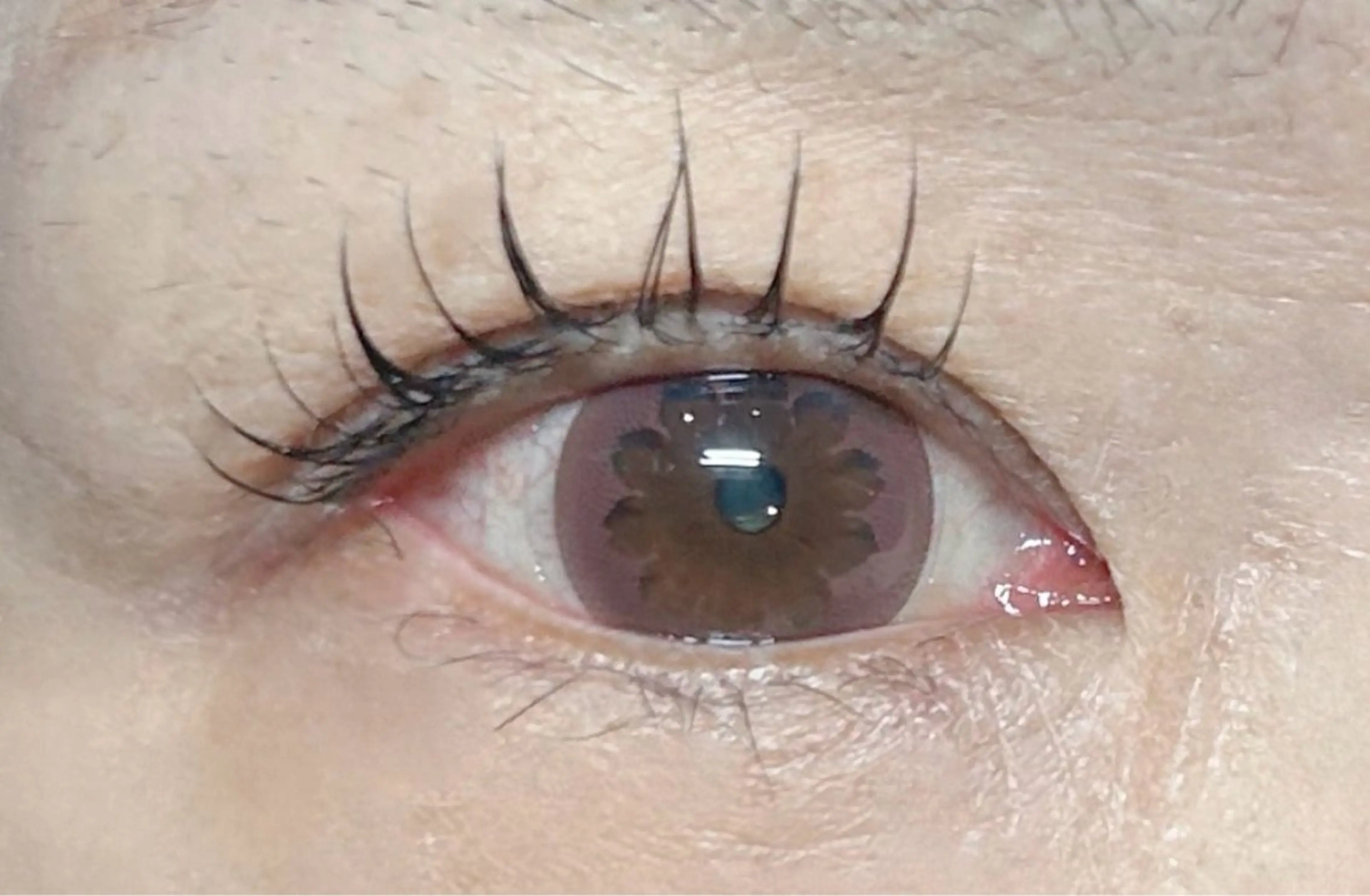 マツエク・マツパ マツエク tres村井所属・RINO /村井駅/マツエクのマツエク・マツパデザイン