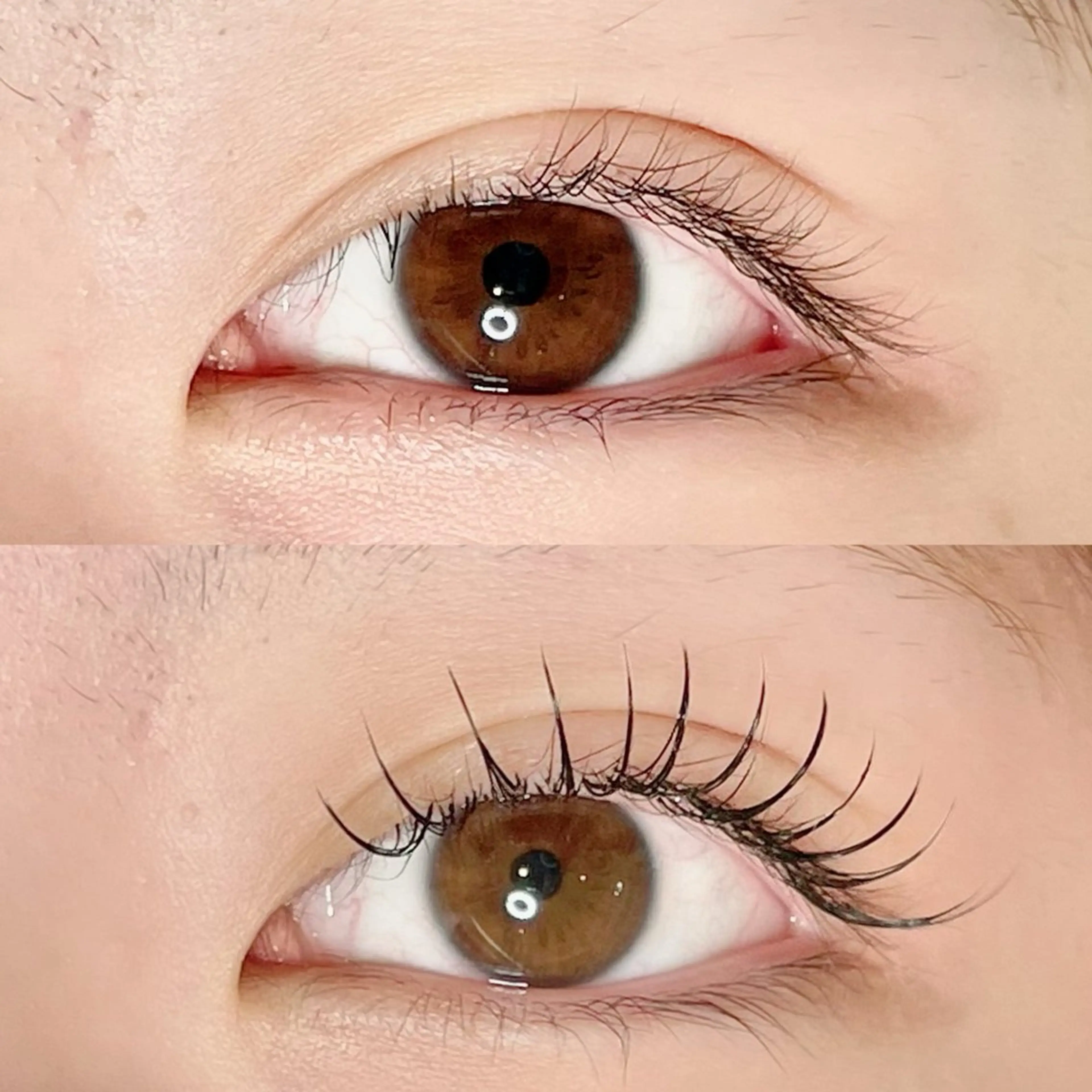 マツエク・マツパ マツエク AYLASH🧡 猪又のマツエク・マツパデザイン