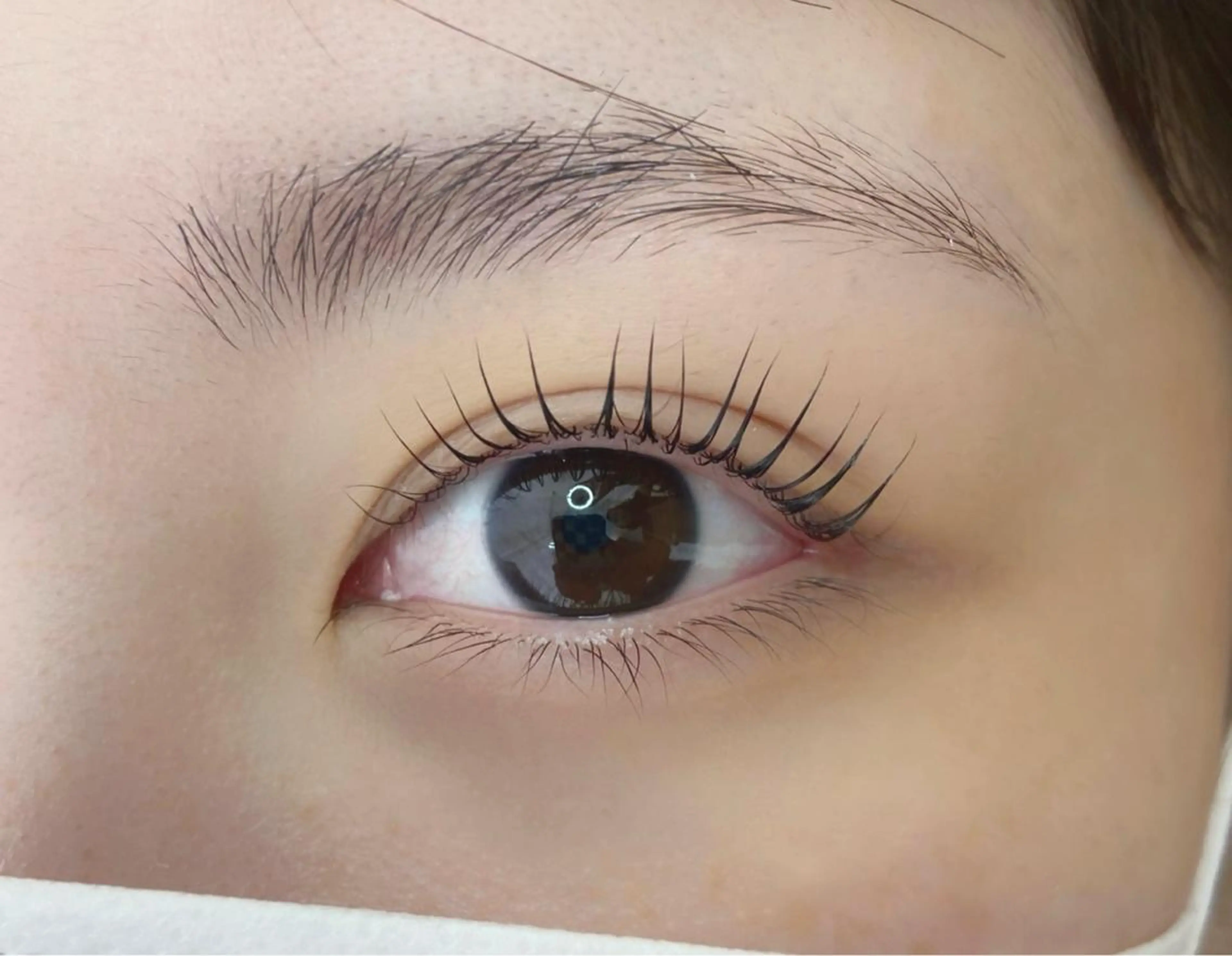 マツエク・マツパ パリジェンヌラッシュリフト マツパ muse所属・Suzu .muse 【葛城店】のマツエク・マツパデザイン