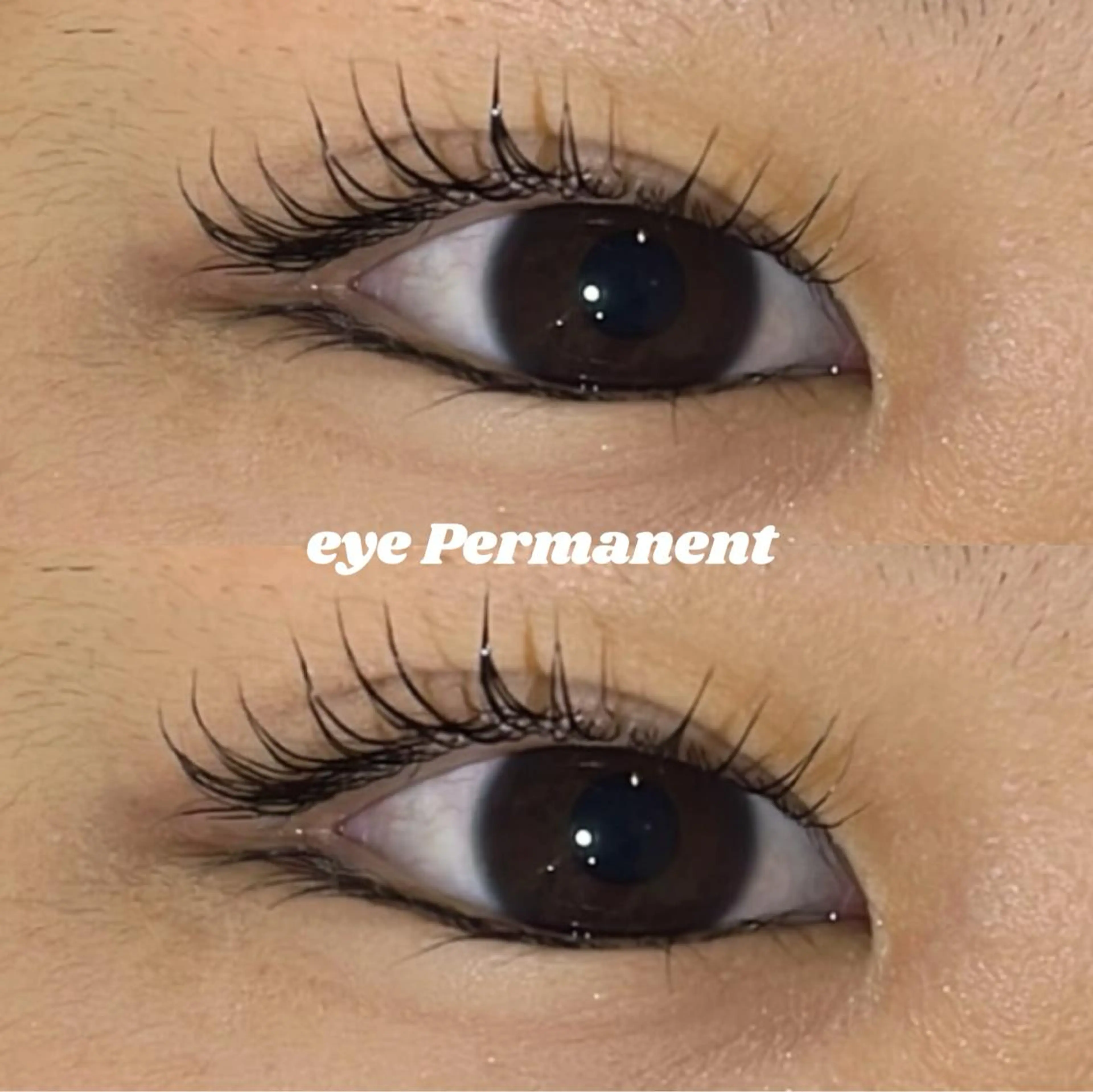 マツエク・マツパ マツパ mona 🎀韓国まつパ/眉毛のマツエク・マツパデザイン