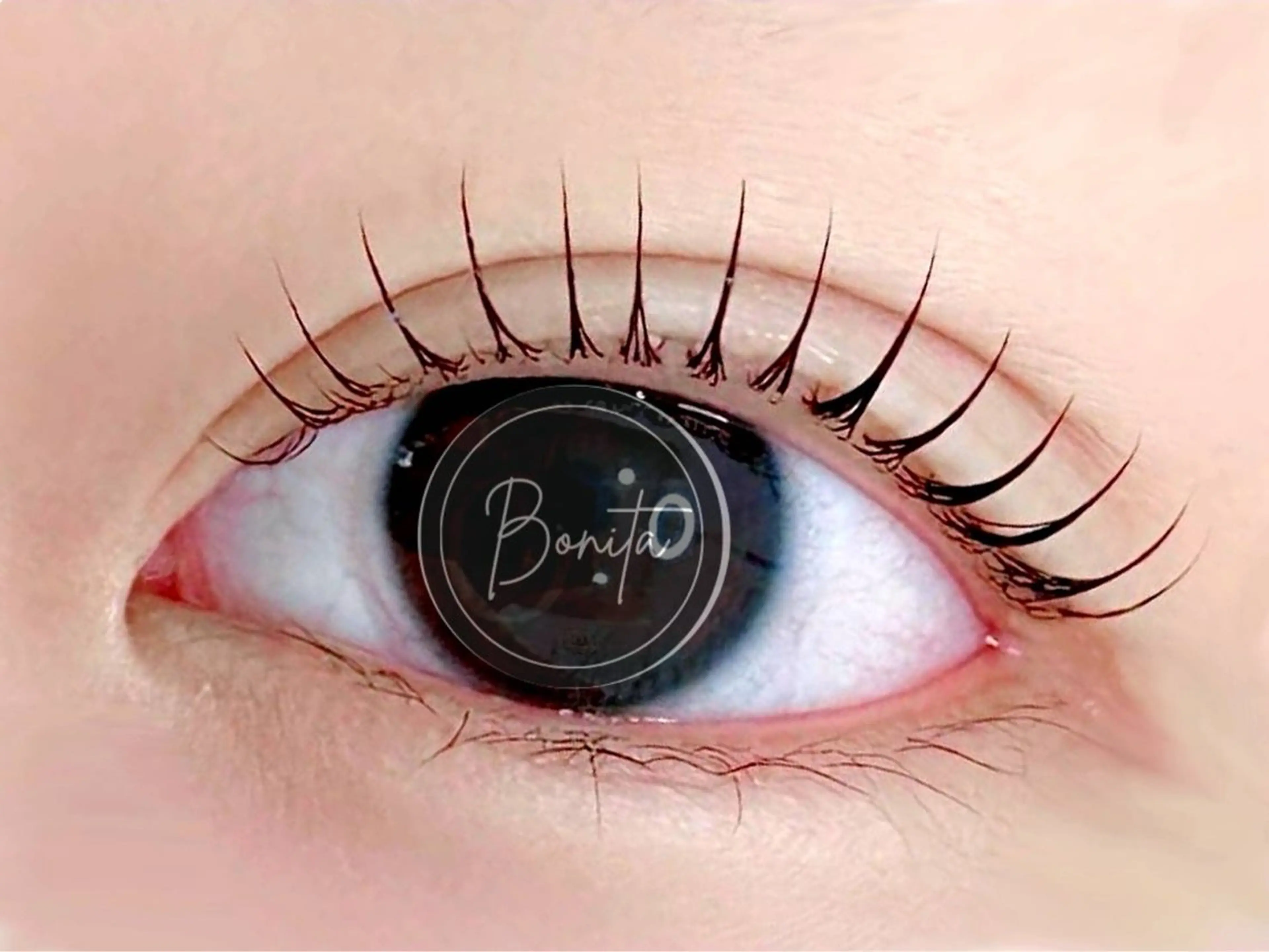 ✧〖⚠️当日予約のみ⚠️キャンセル不可〗まつ毛パーマ撮影モデル＊お一人様一回限り＊〖まつ毛の長く濃い方 〗平日のみの写真