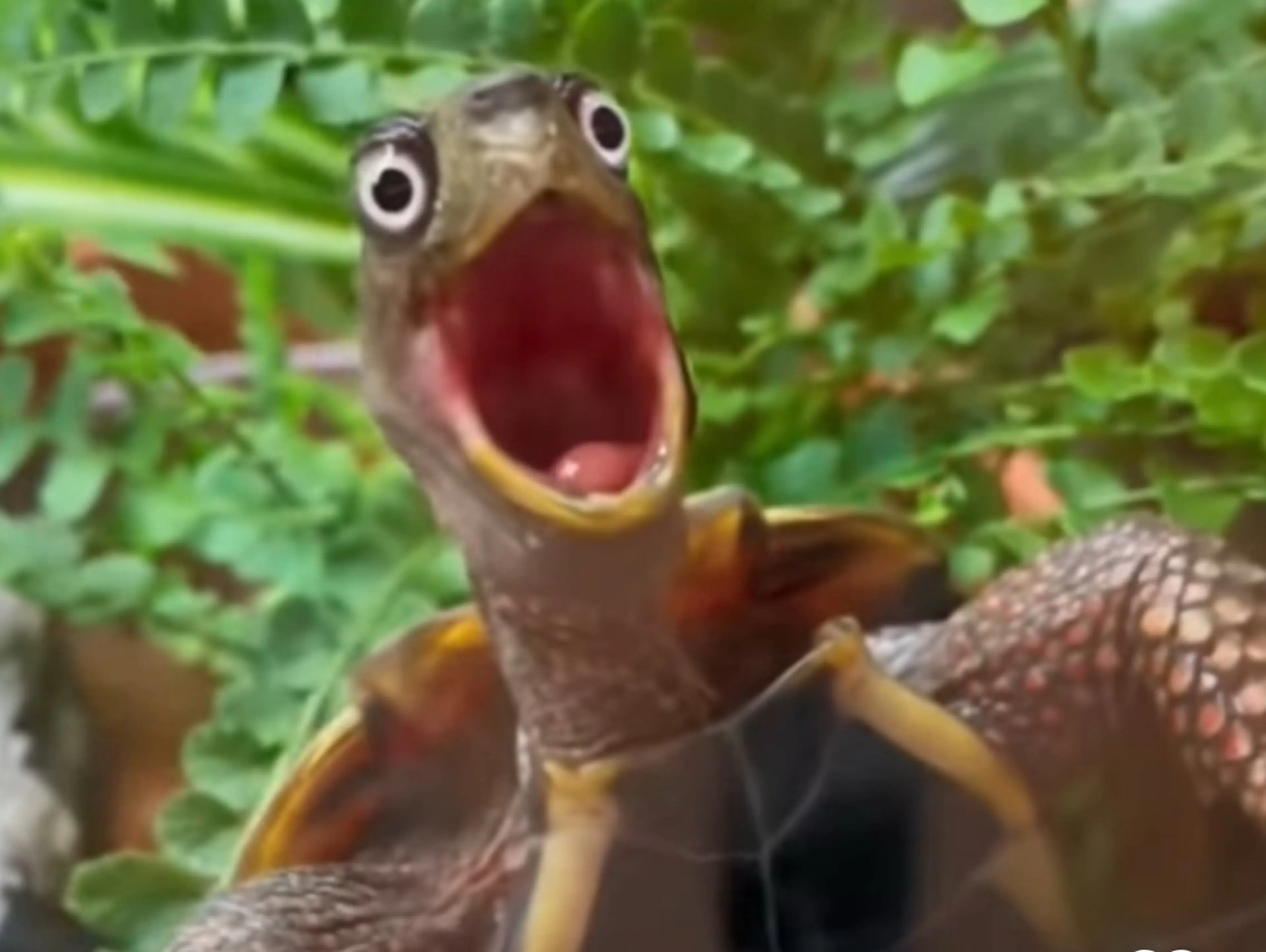 エステ Beauty Salon Superb所属・Superb那覇 🫧Ryokoの眉毛・アイブロウイメージ