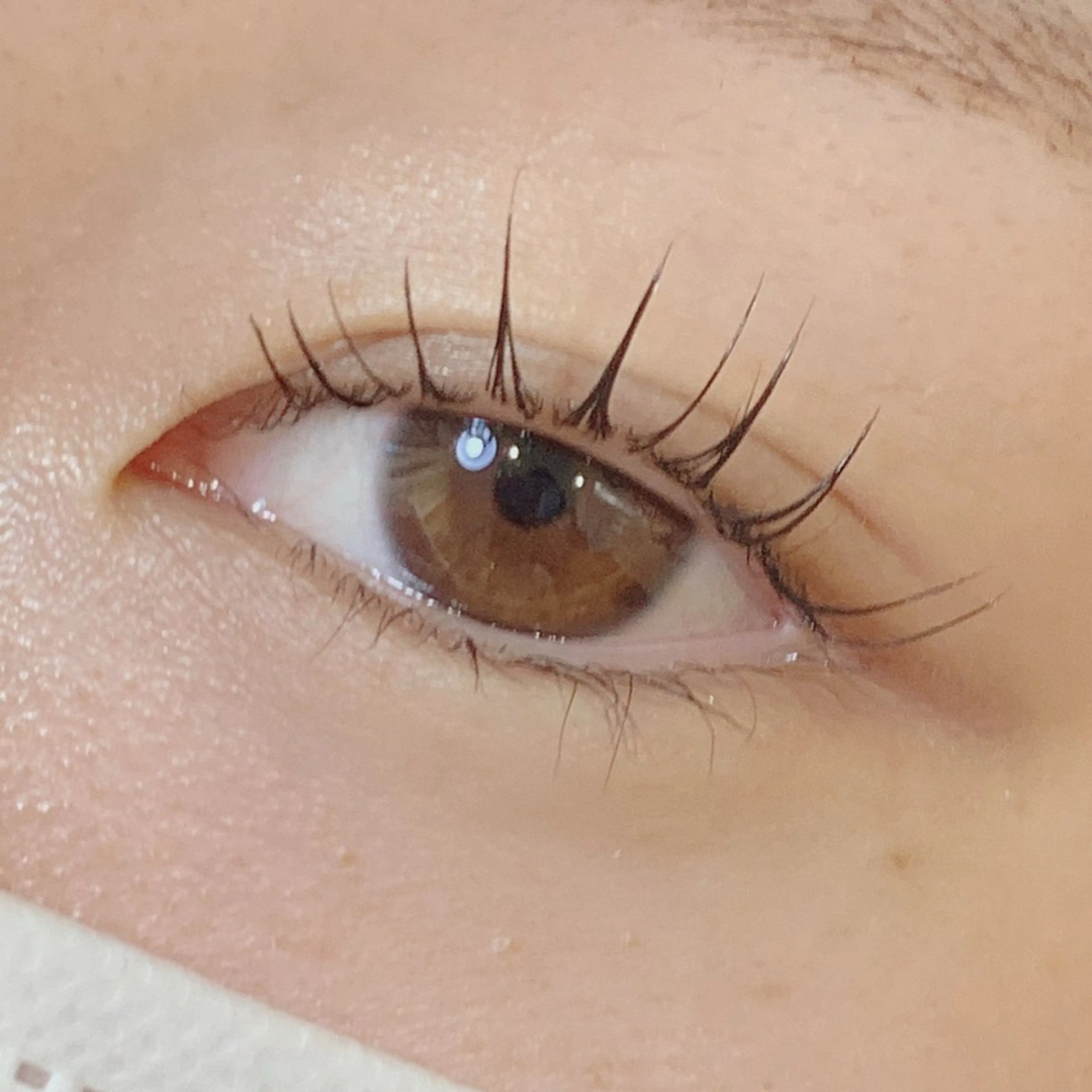 マツエク・マツパ マツパ lifra CHISAのマツエク・マツパデザイン