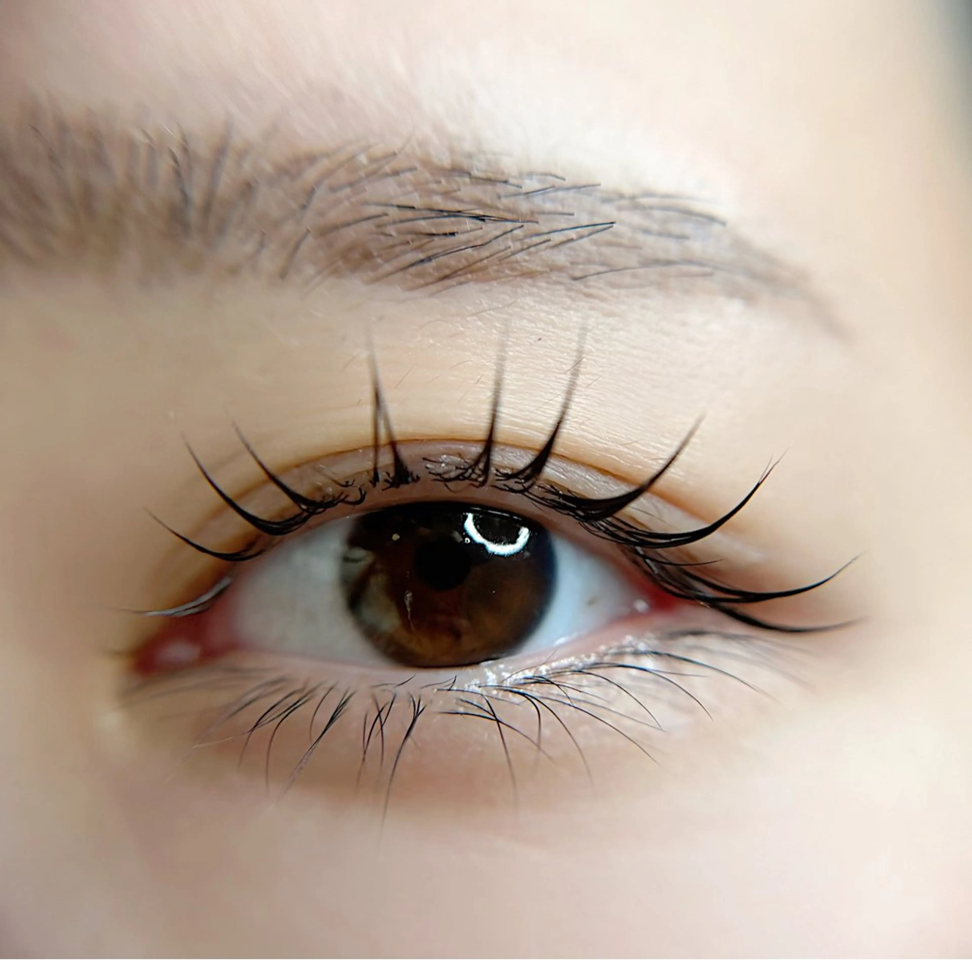 マツエク・マツパ Citrine eyelash ✿のマツエク・マツパデザイン