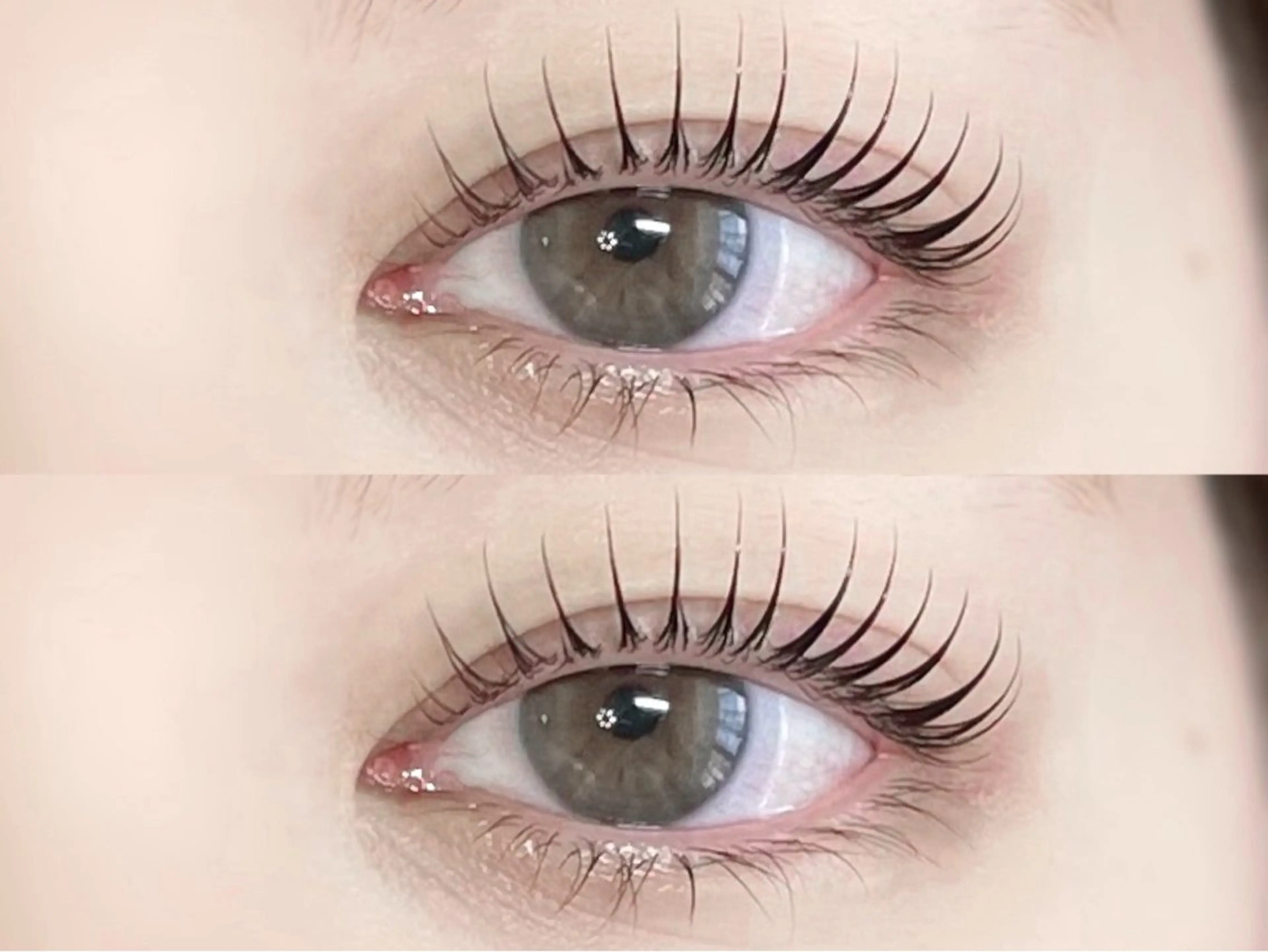 【急募】🎀下まつげパーマモデル🎀の写真