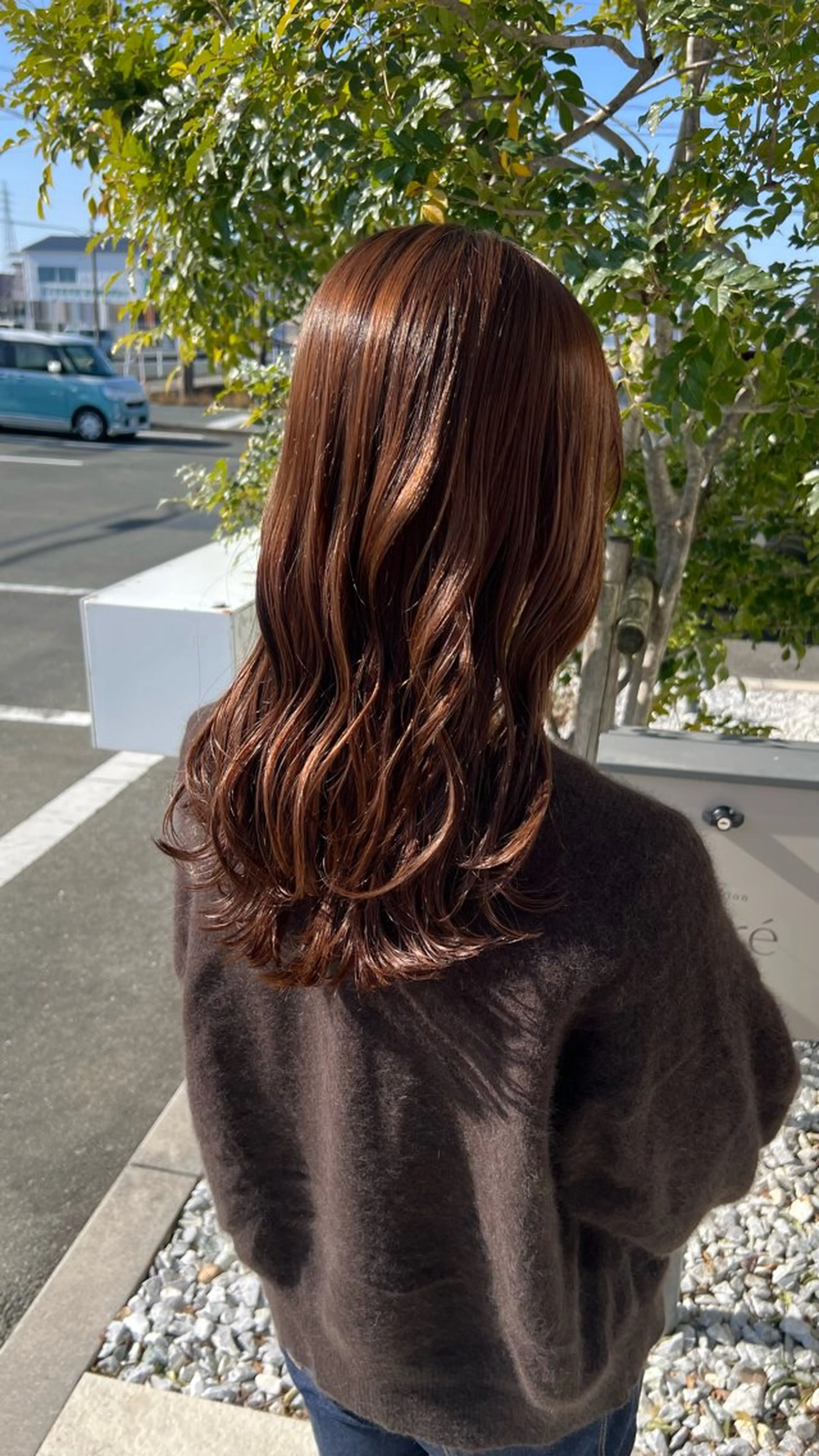 【ロング・ミディアム限定】カット＋集中トリートメント✨️の写真