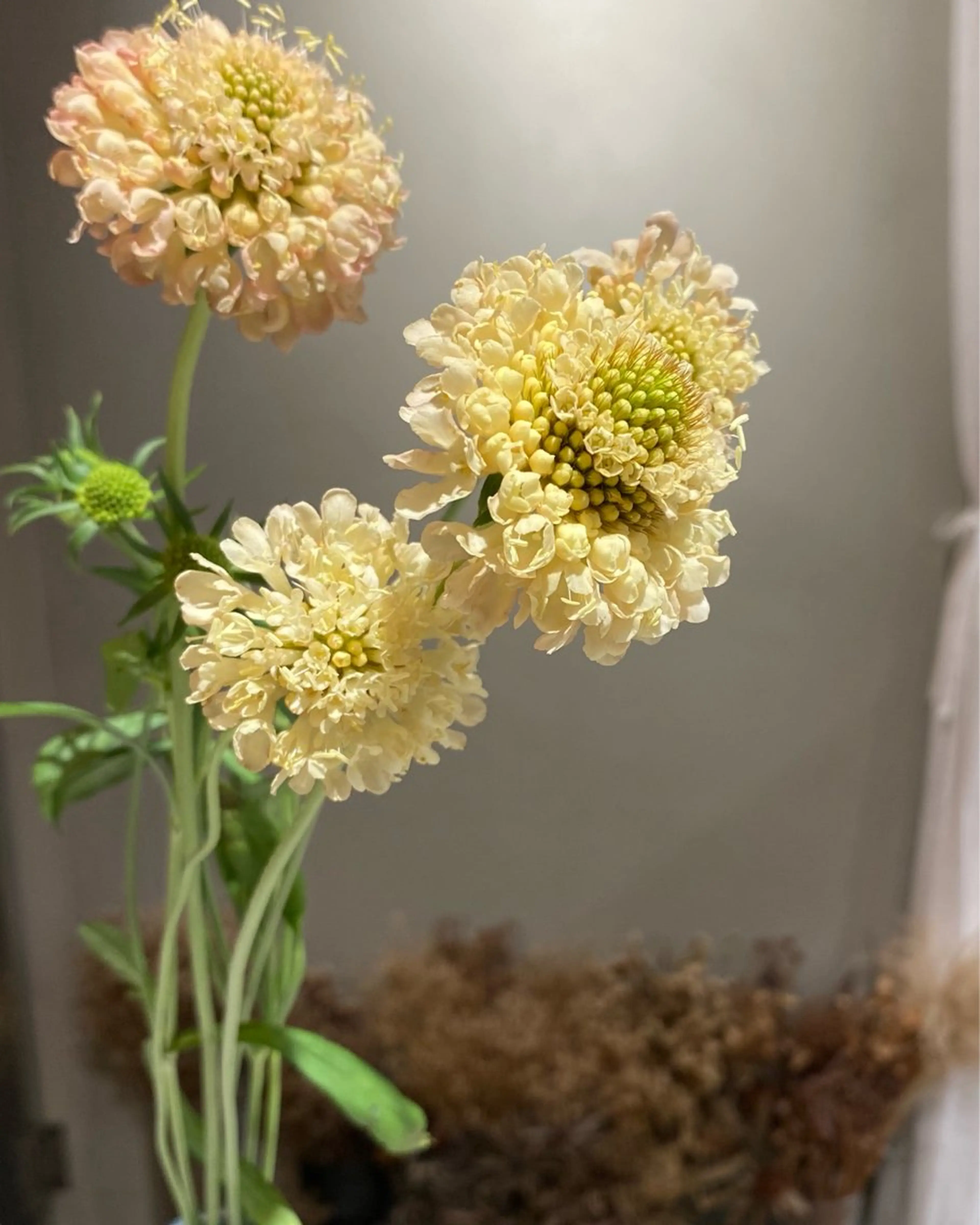 erika /韓国ヘアのヘアスタイル