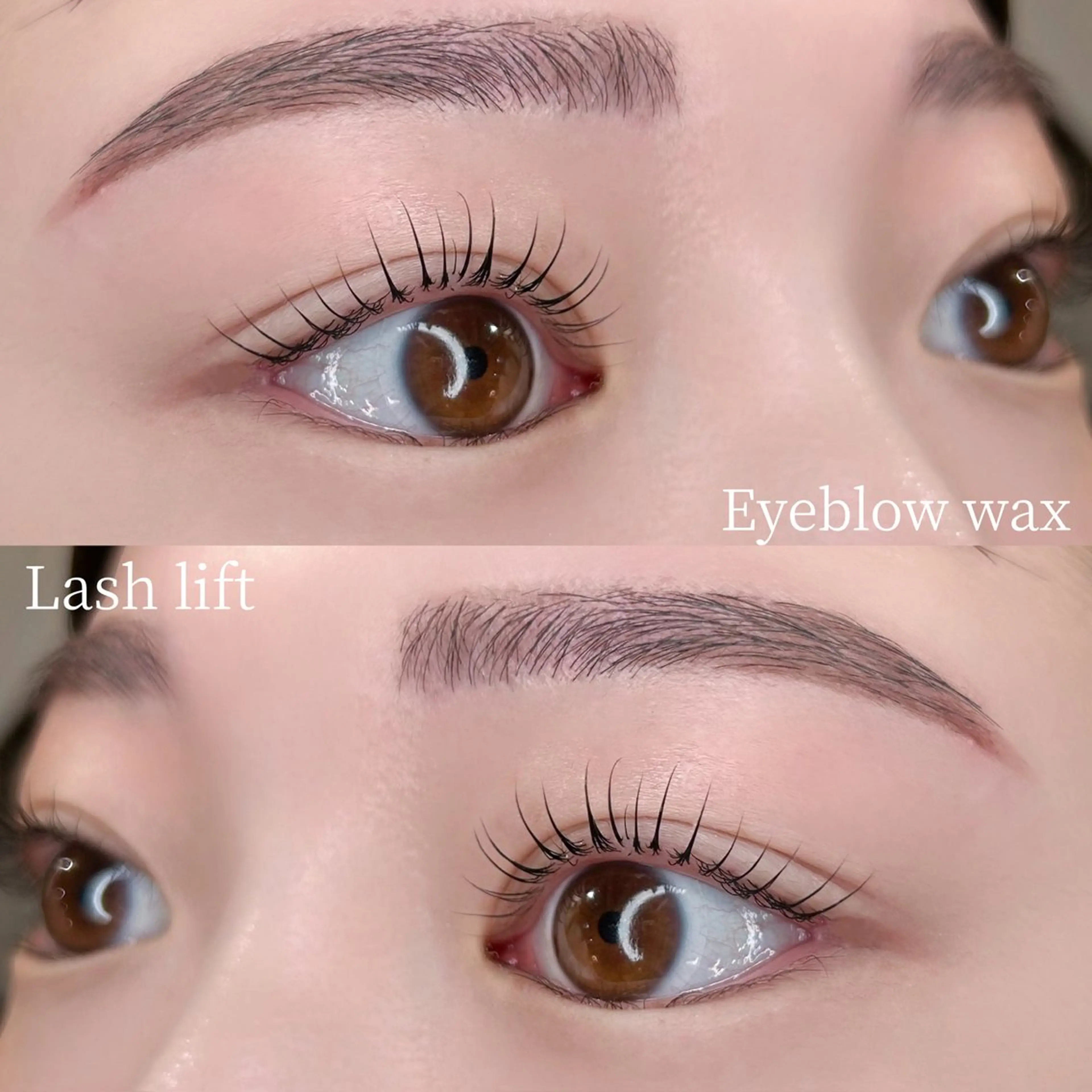 【セットで一気に垢抜け♪】🫧選べるマツパ&アイブロウワックス脱毛🫧¥7500の写真
