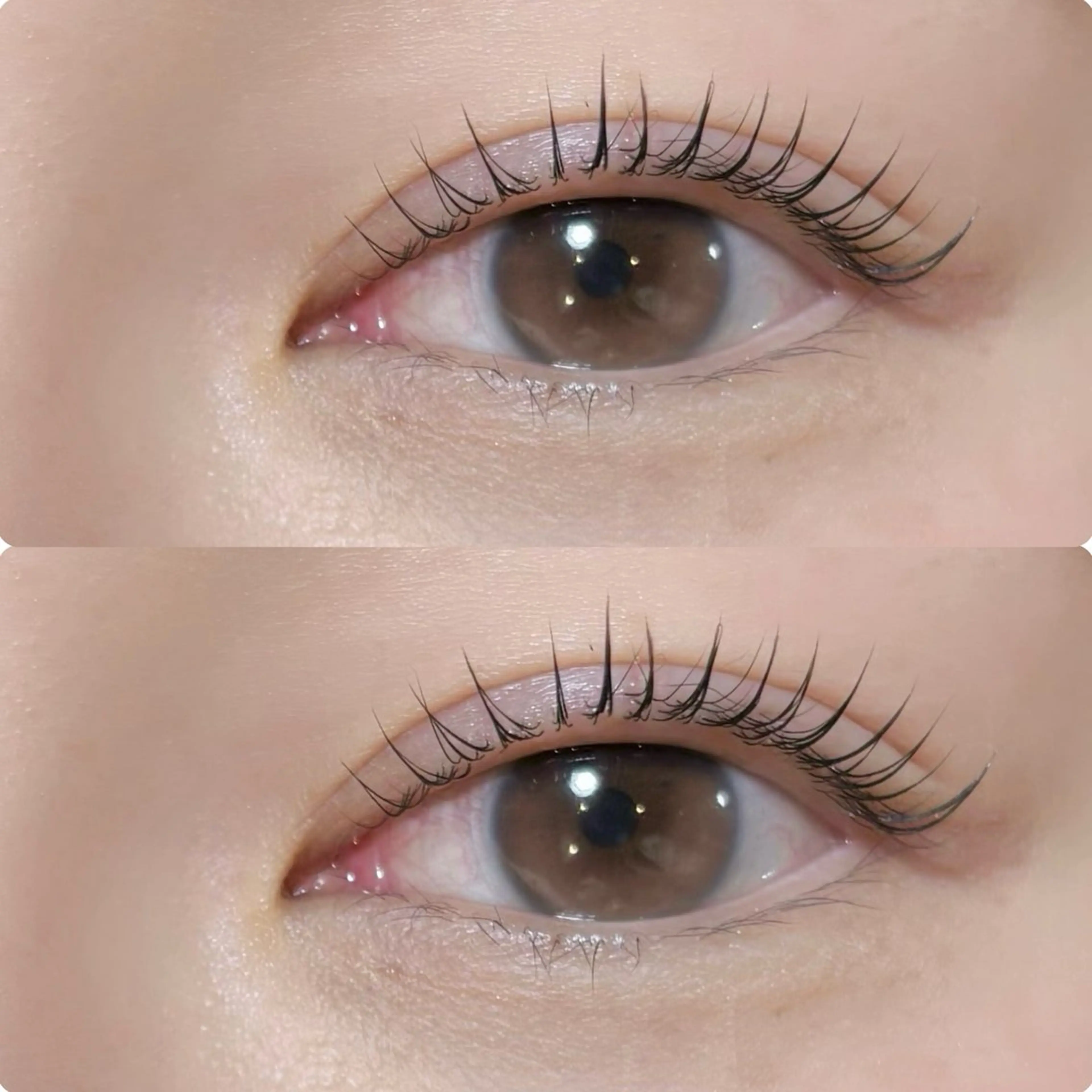 マツエク・マツパ マツパ meguru／マツパ ／マツエク／束感のマツエク・マツパデザイン