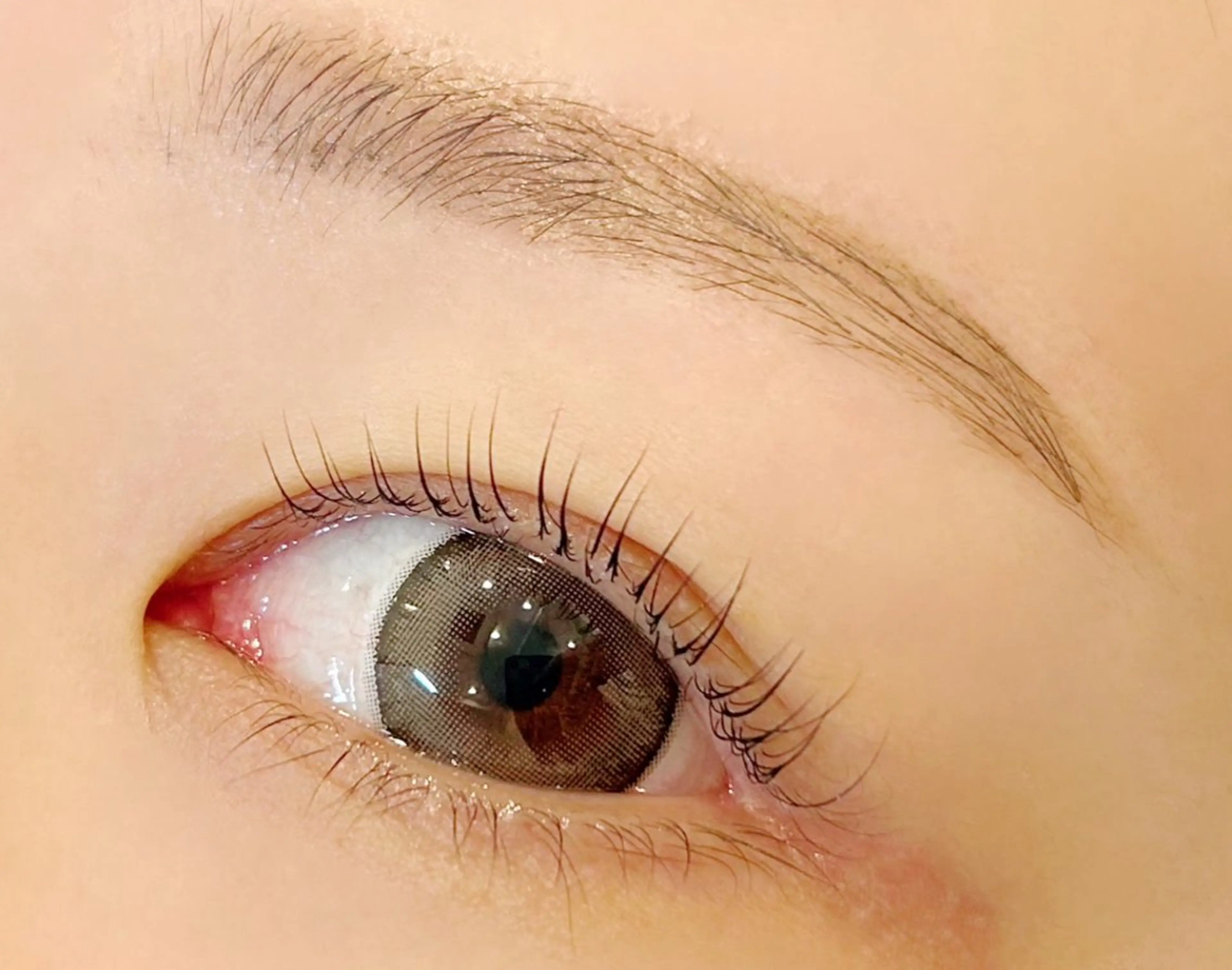 アイブロウモデル様募集🎀骨格に合わせて似合わせ眉を作ります🫧お力添え頂けますと幸いです🥹の写真